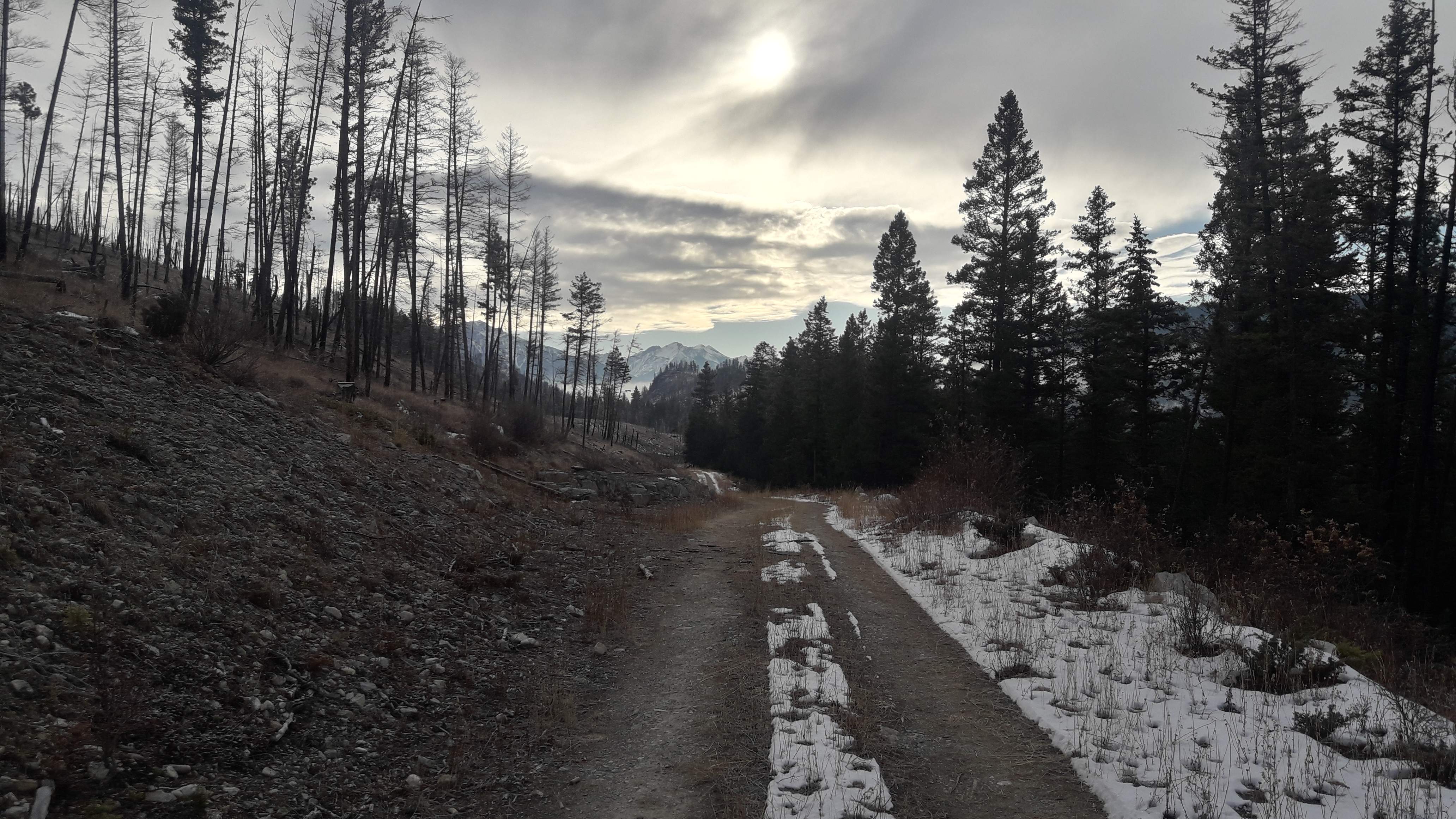 20201205_114501.jpg