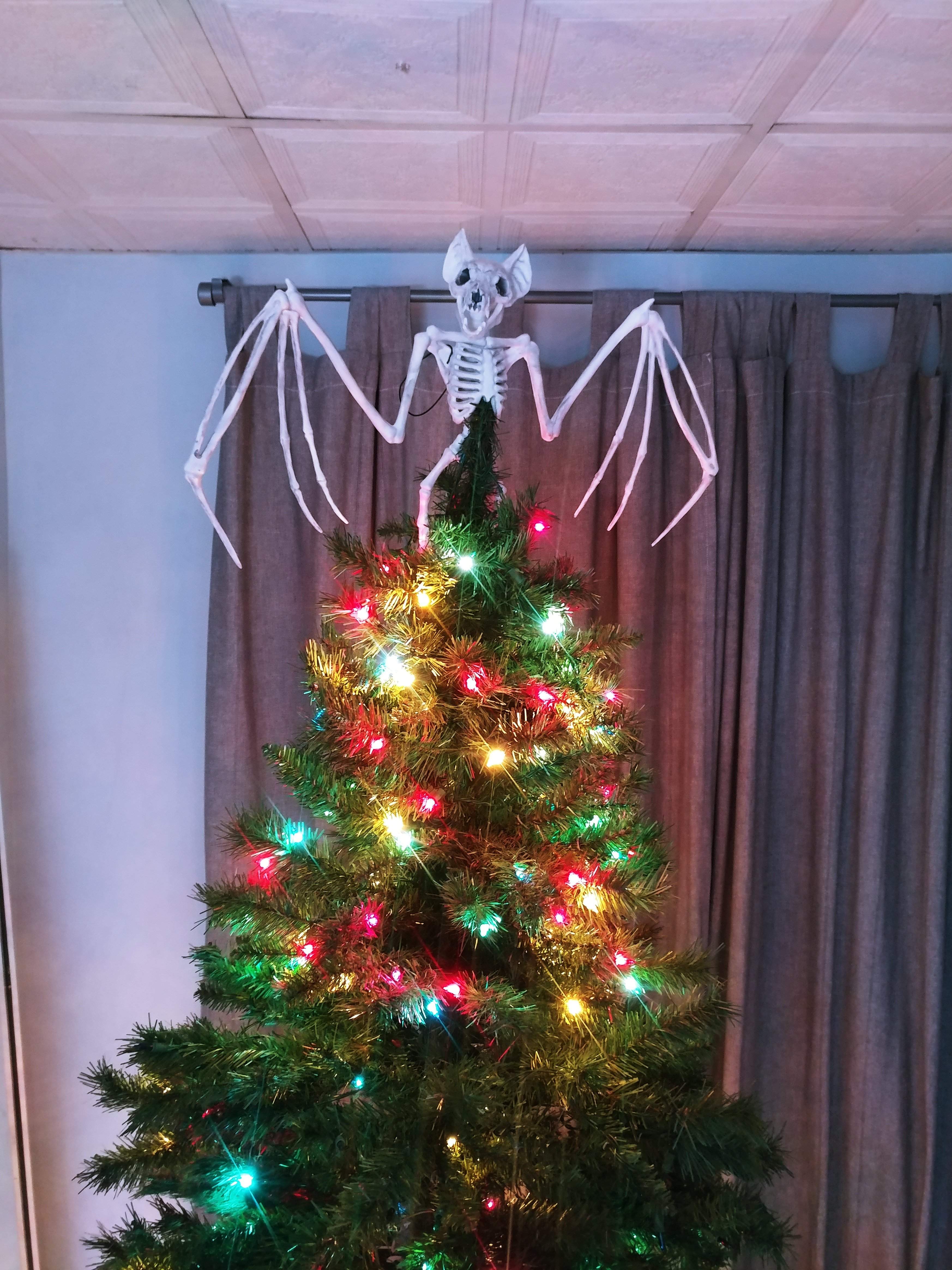 20201206_200250_HDR.jpg
