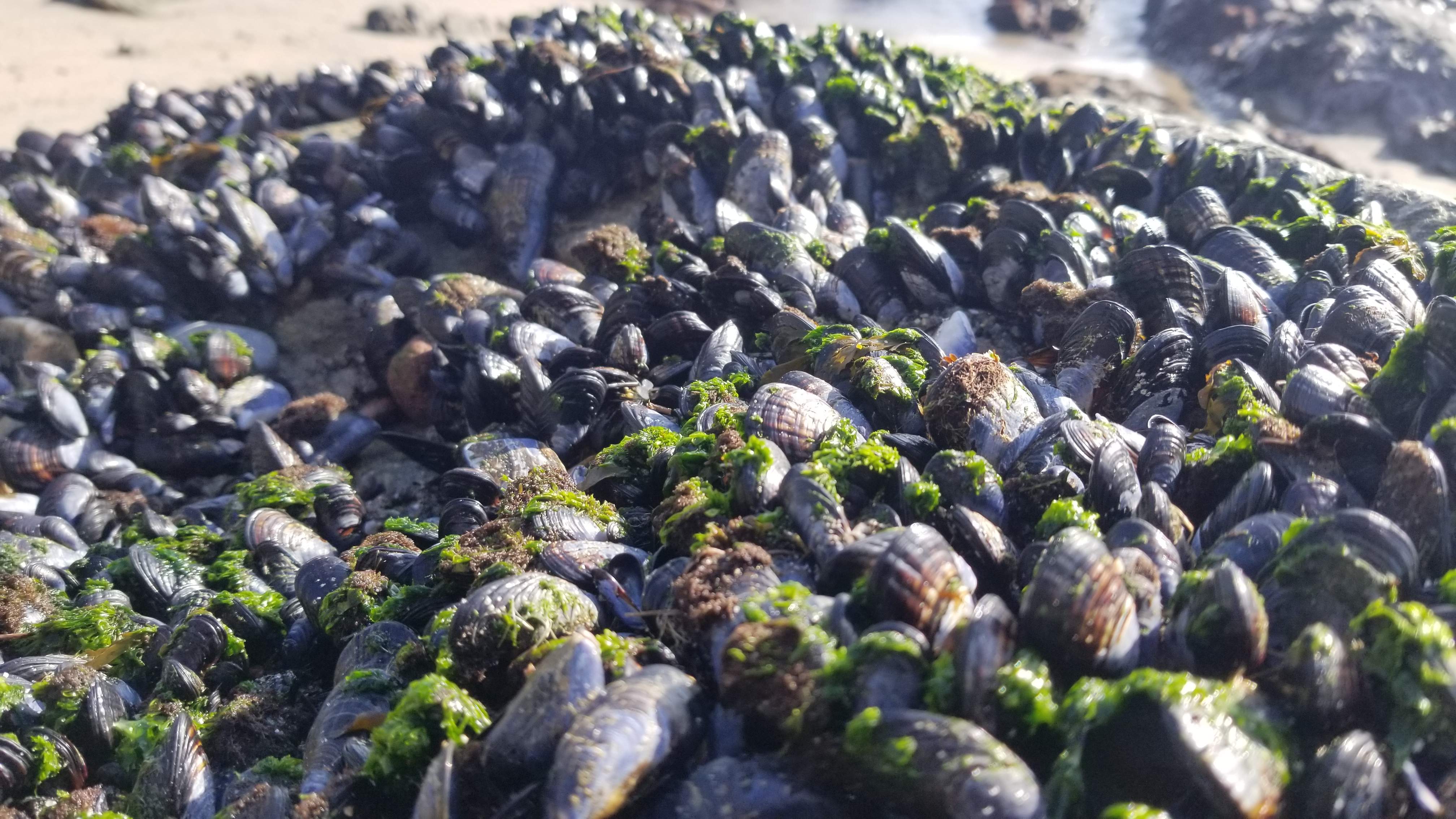 20201212_132617.jpg