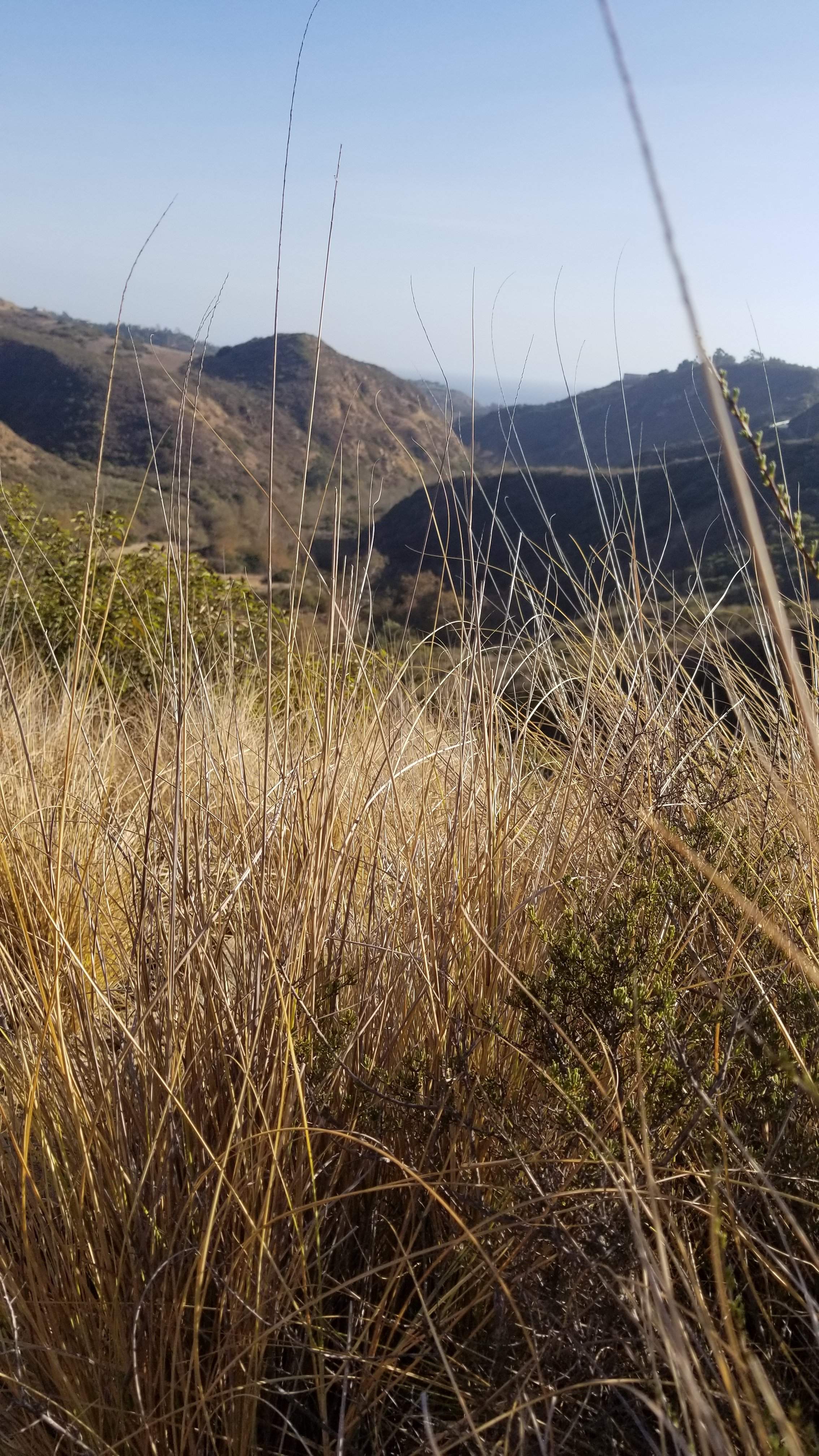 20201212_140438.jpg