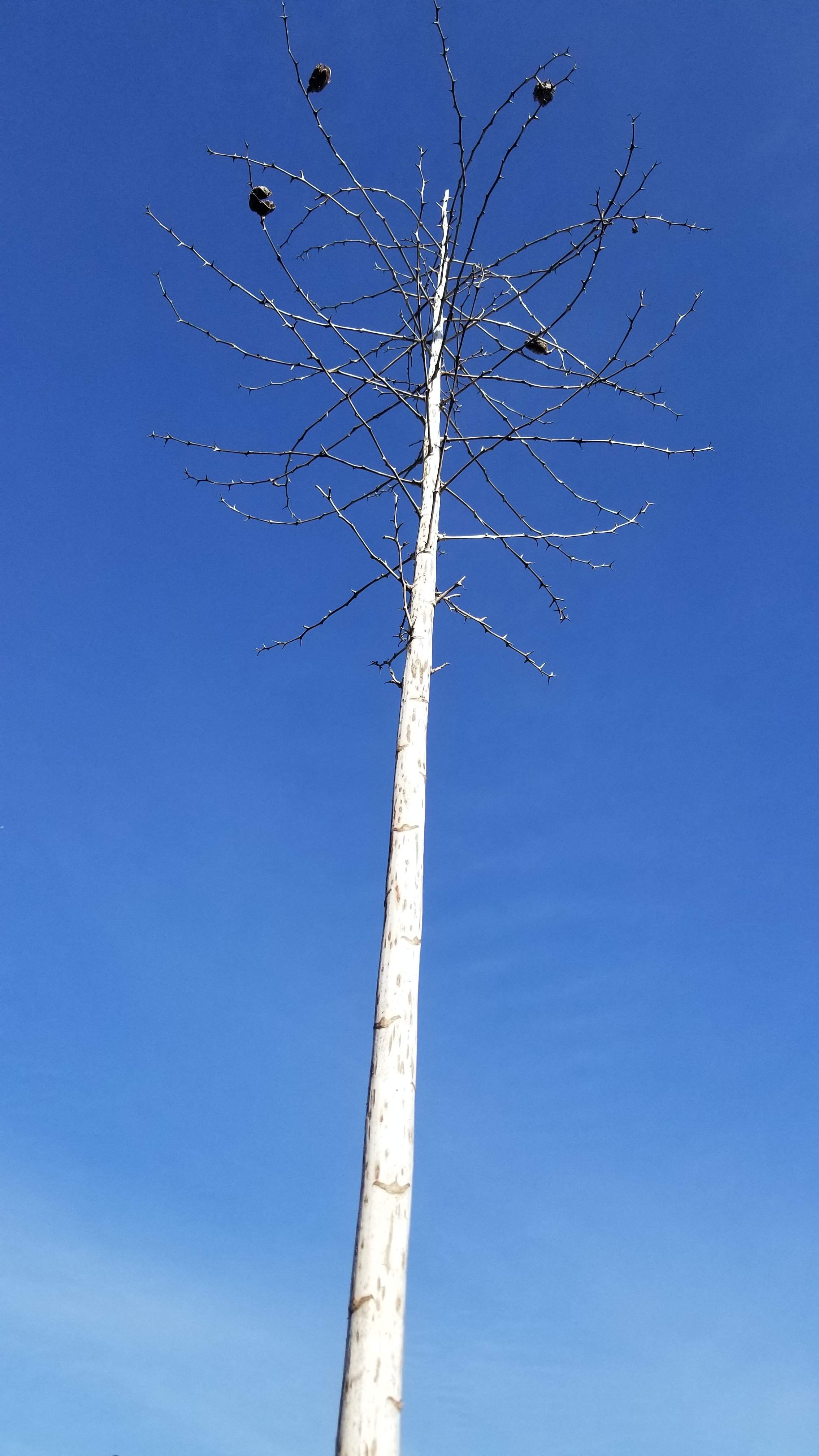 20201212_140455.jpg