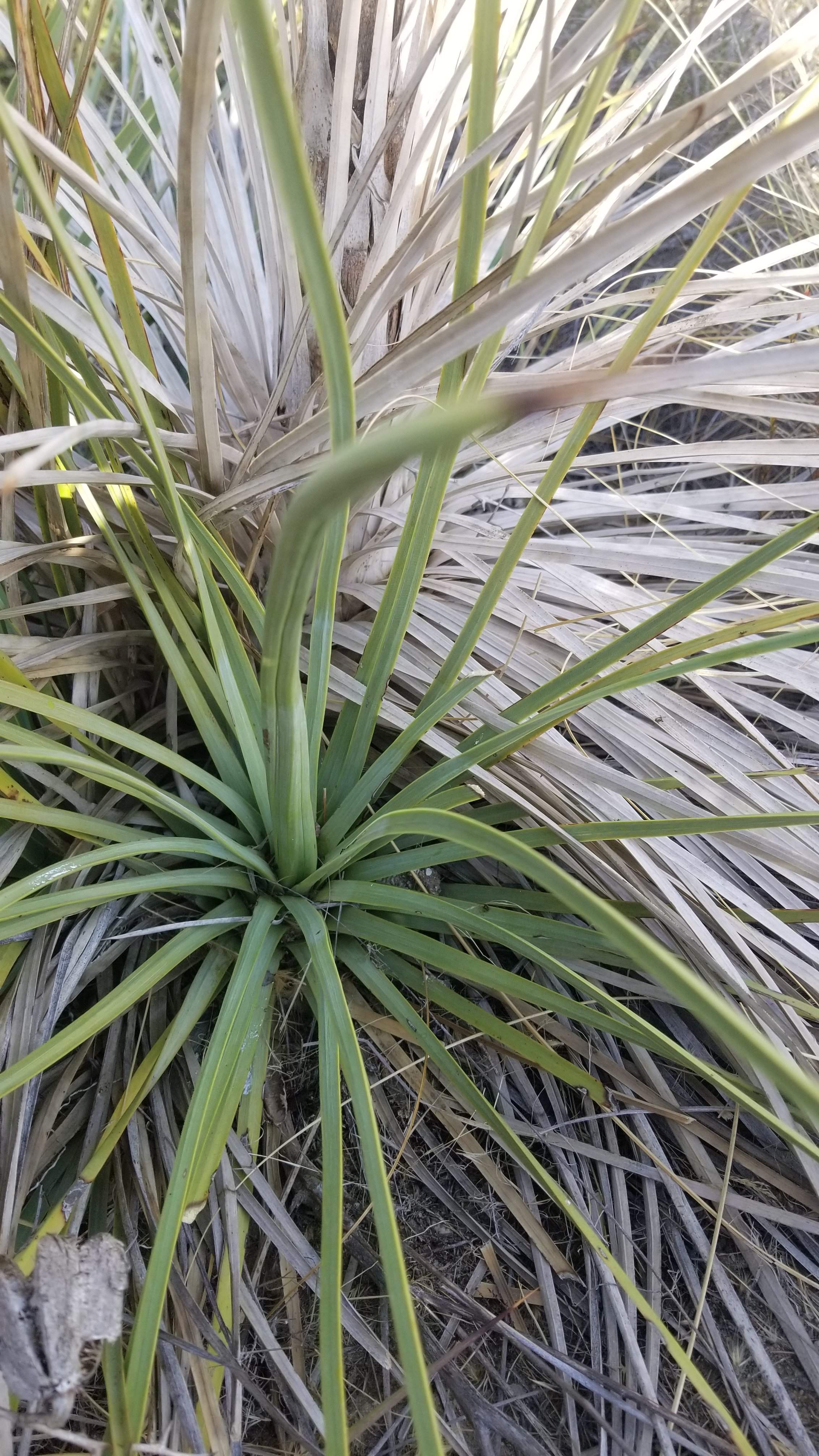 20201212_140733.jpg