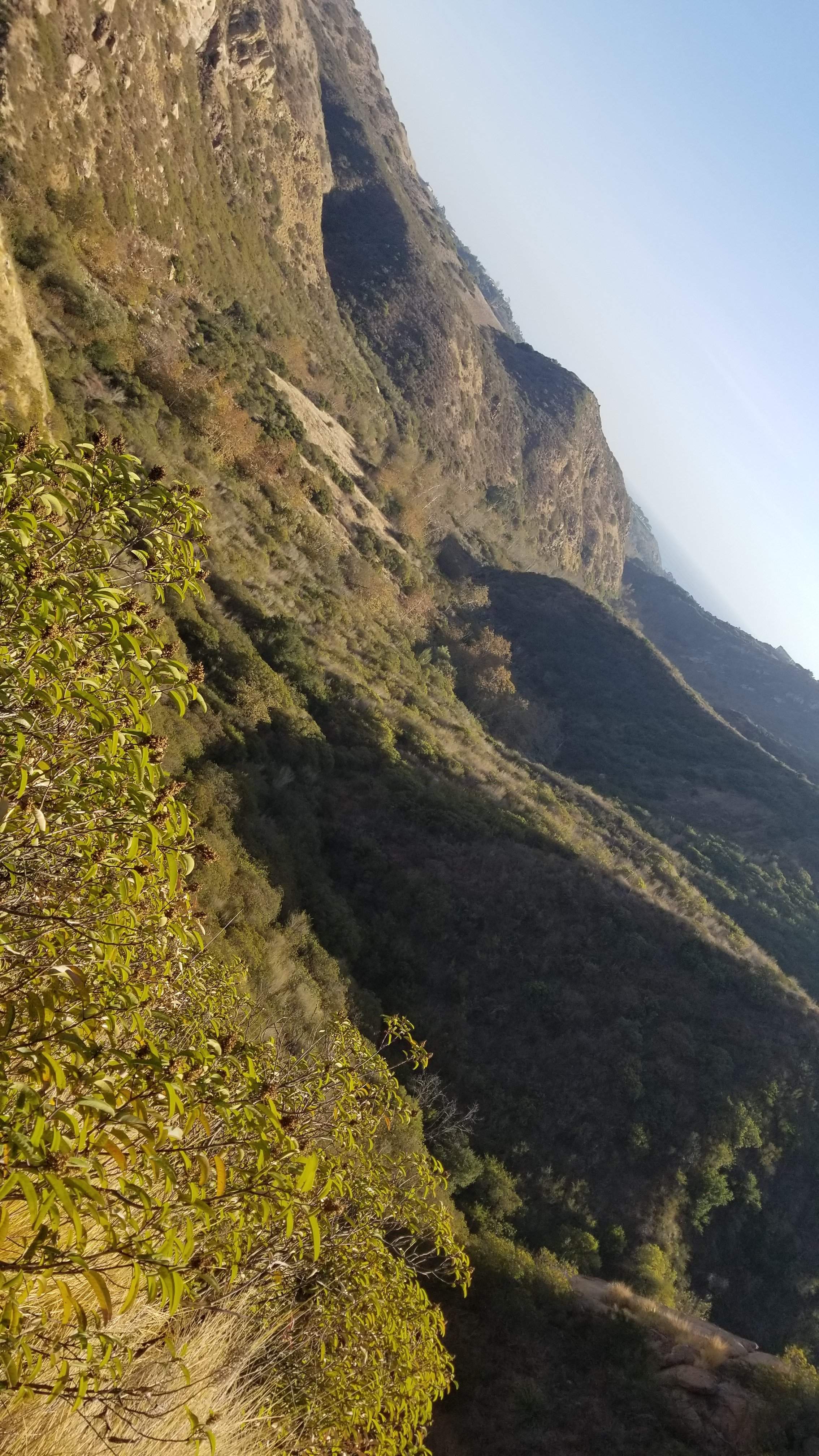 20201212_140743.jpg