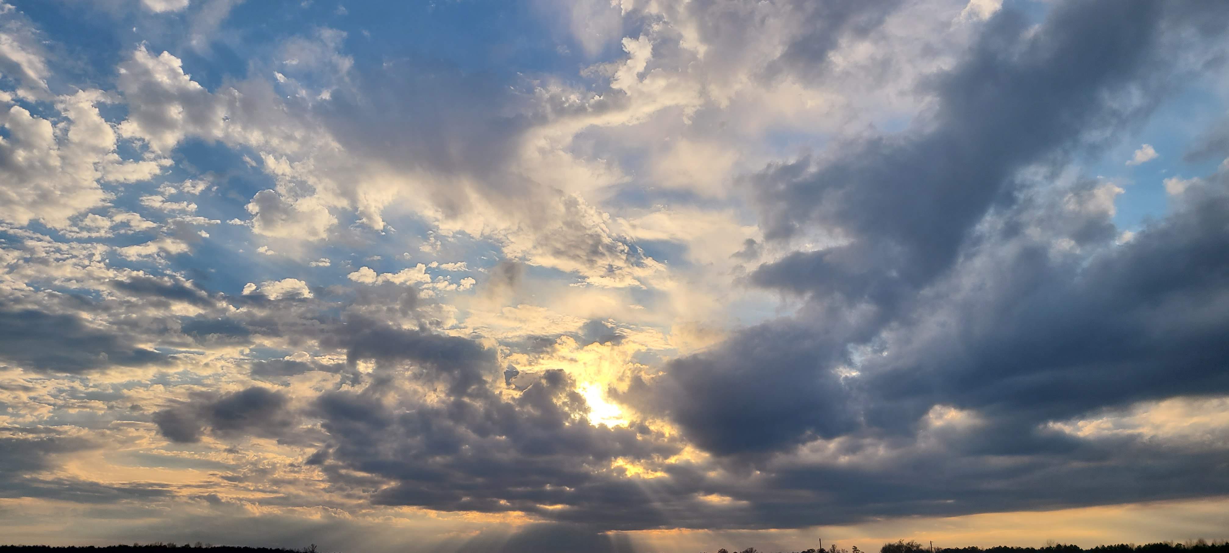 20201212_160333.jpg