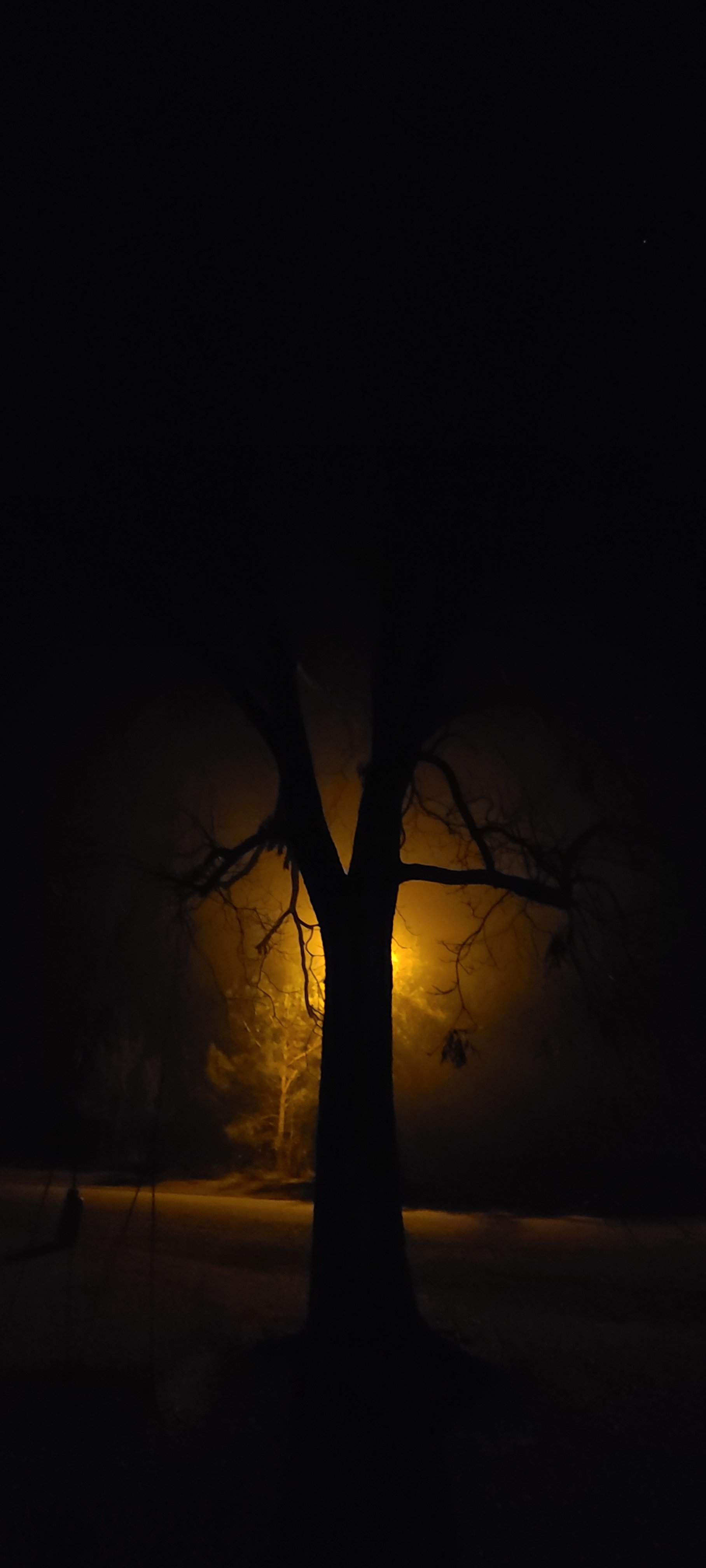 20201213_201634.jpg