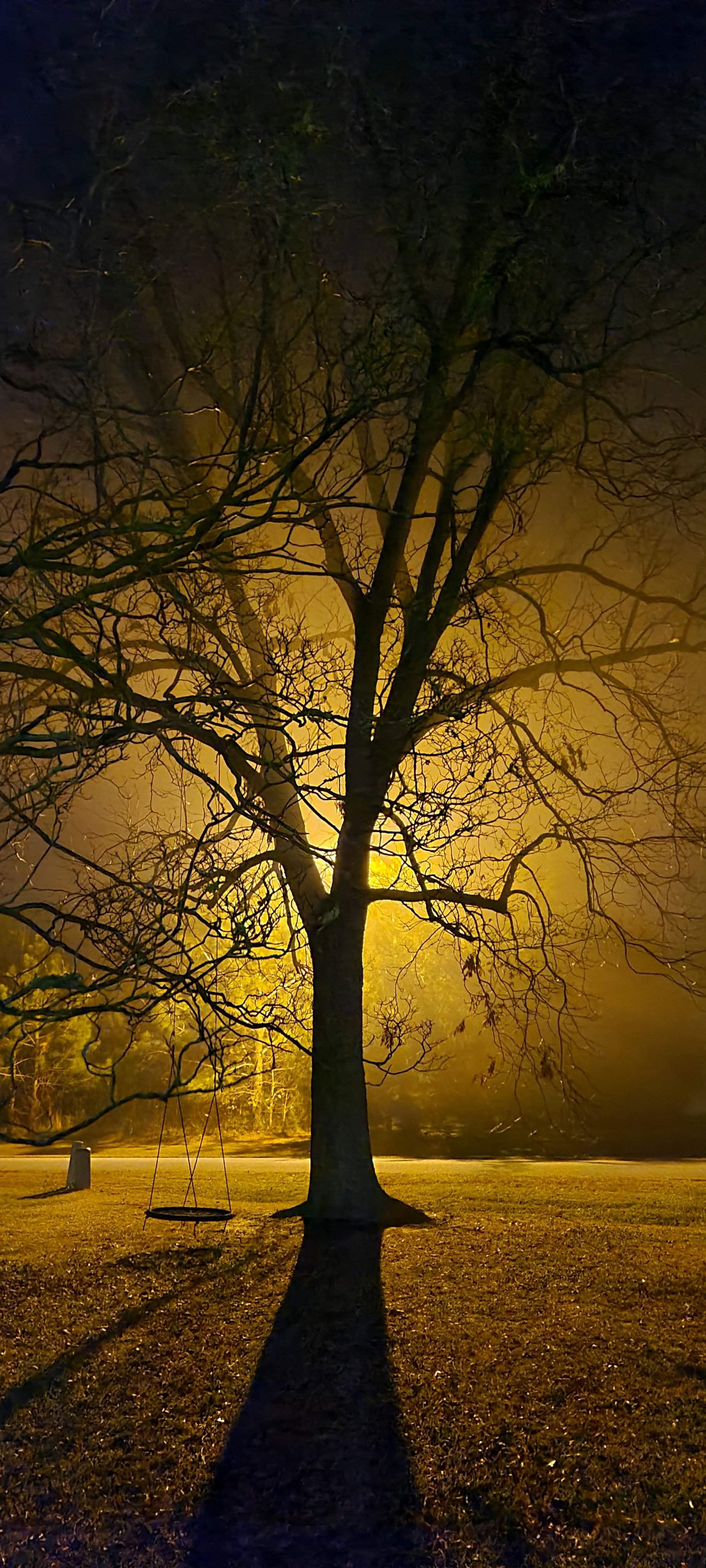 20201213_201656.jpg