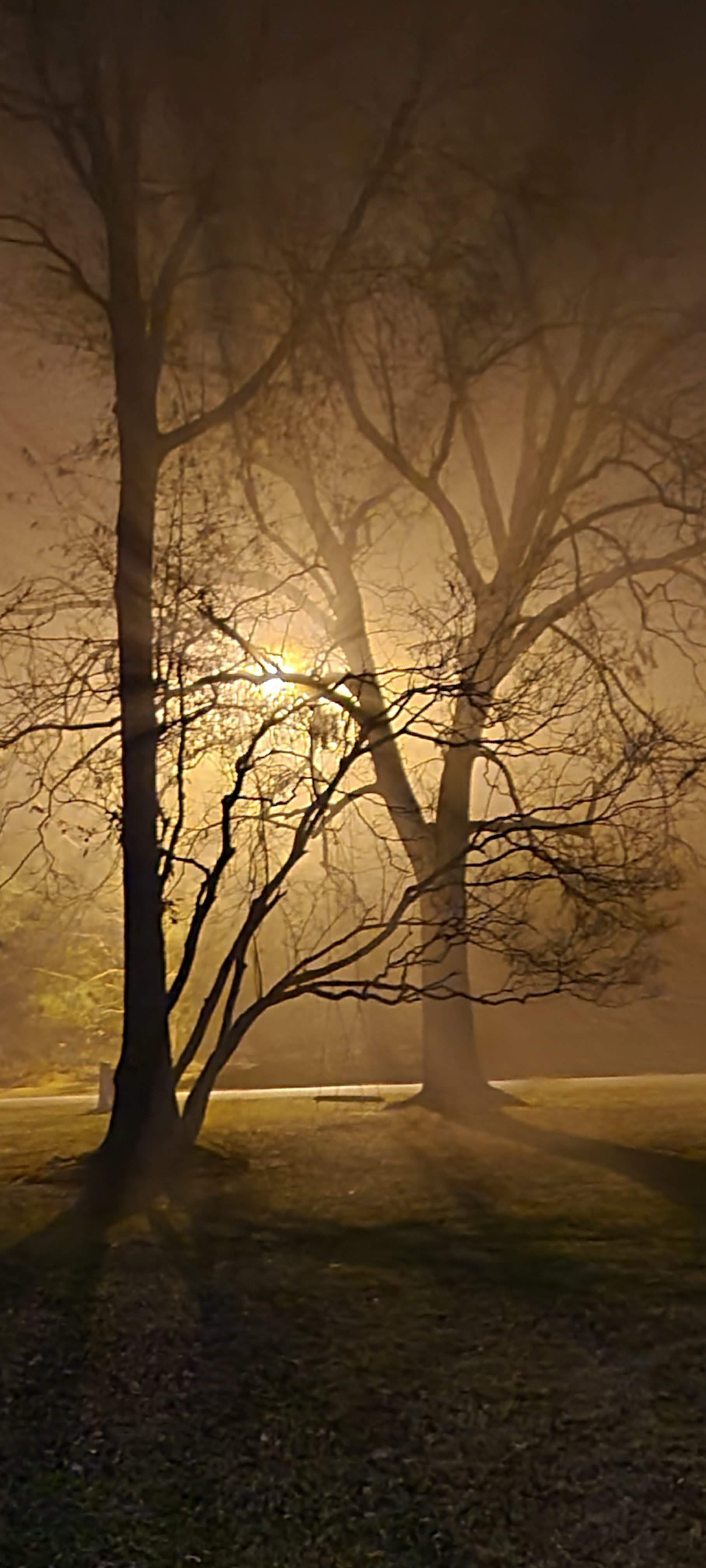 20201213_202101.jpg
