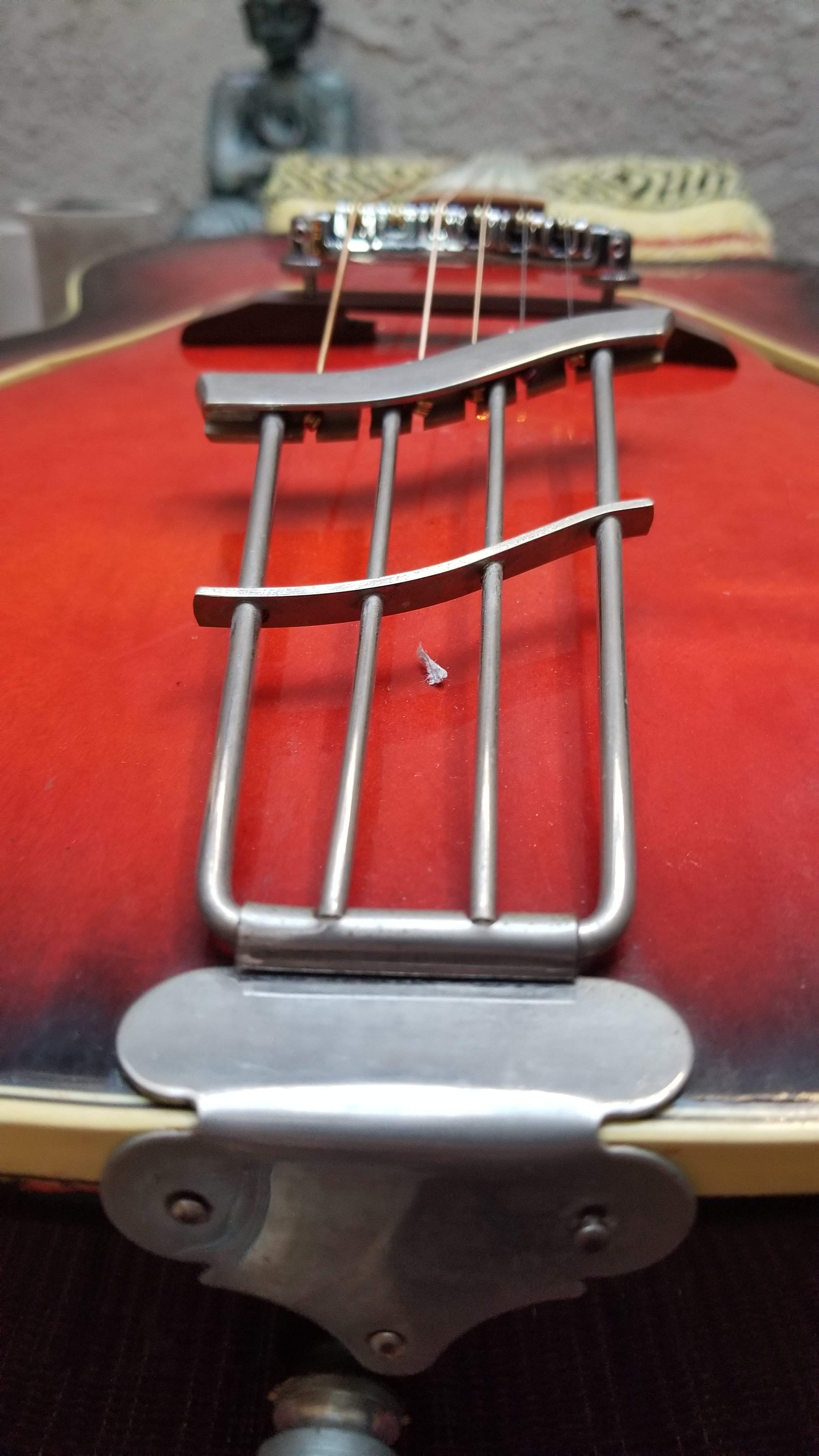 20201220_154852.jpg