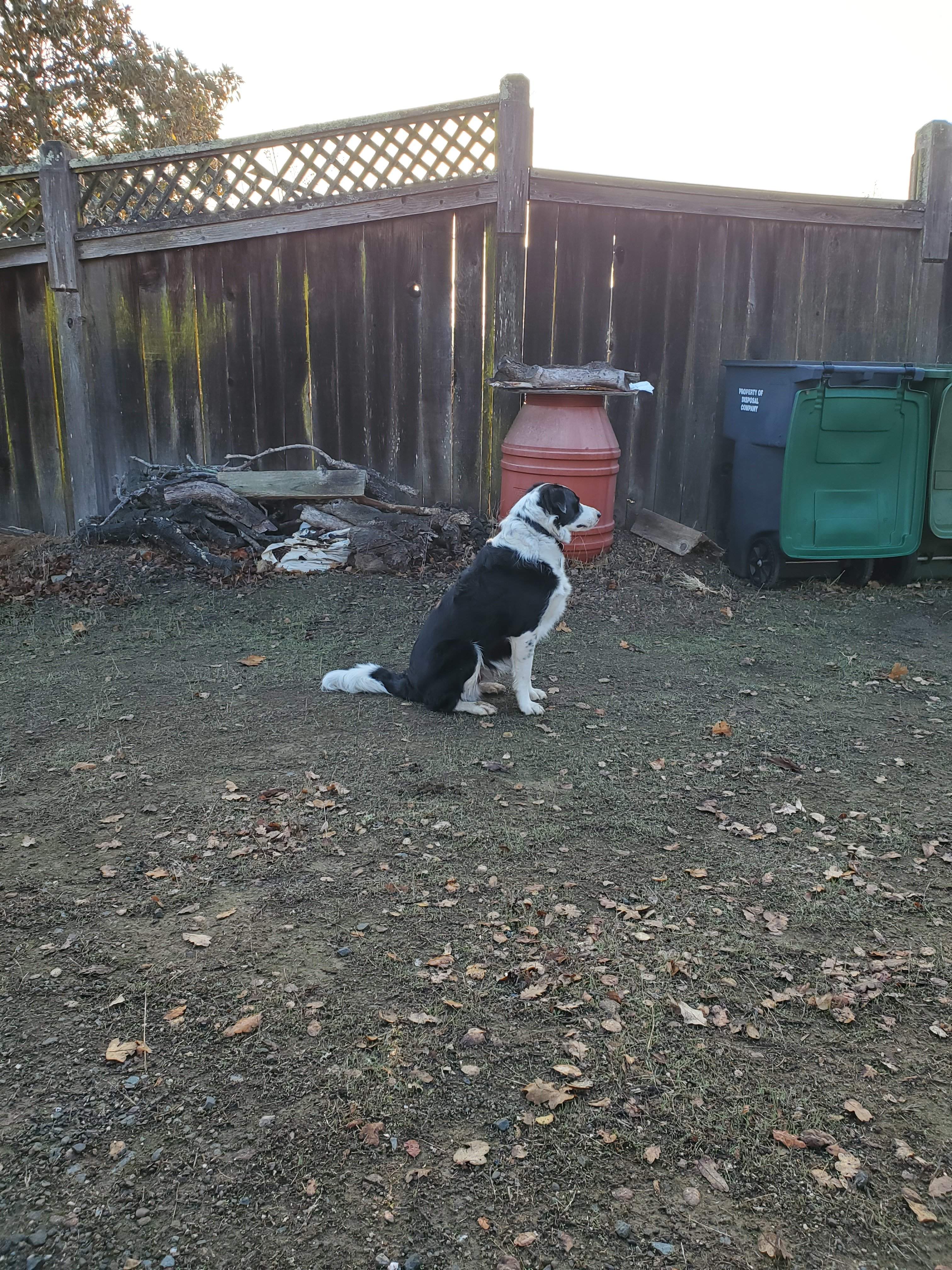 20201221_080420.jpg