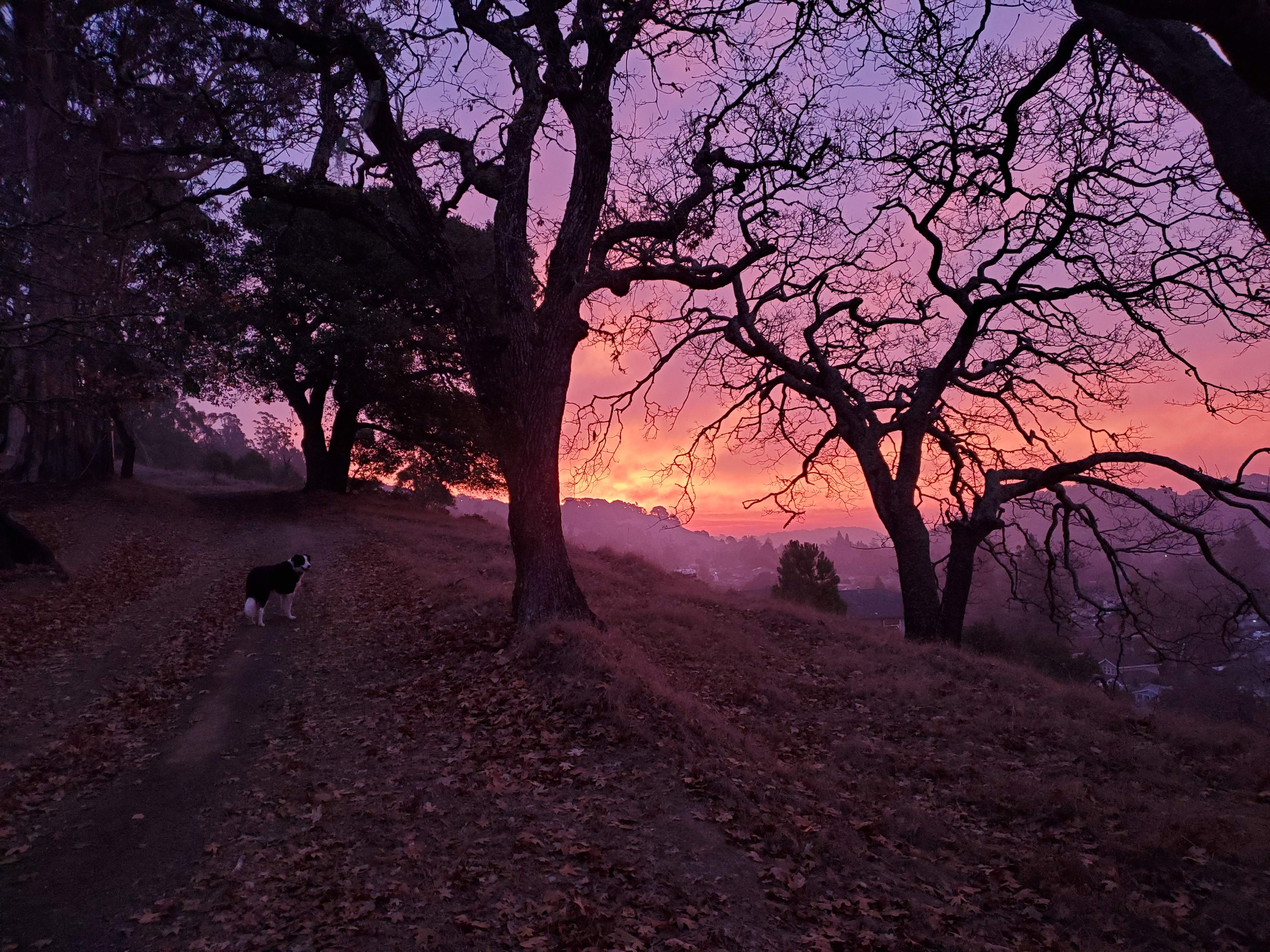 20201225_072343.jpg