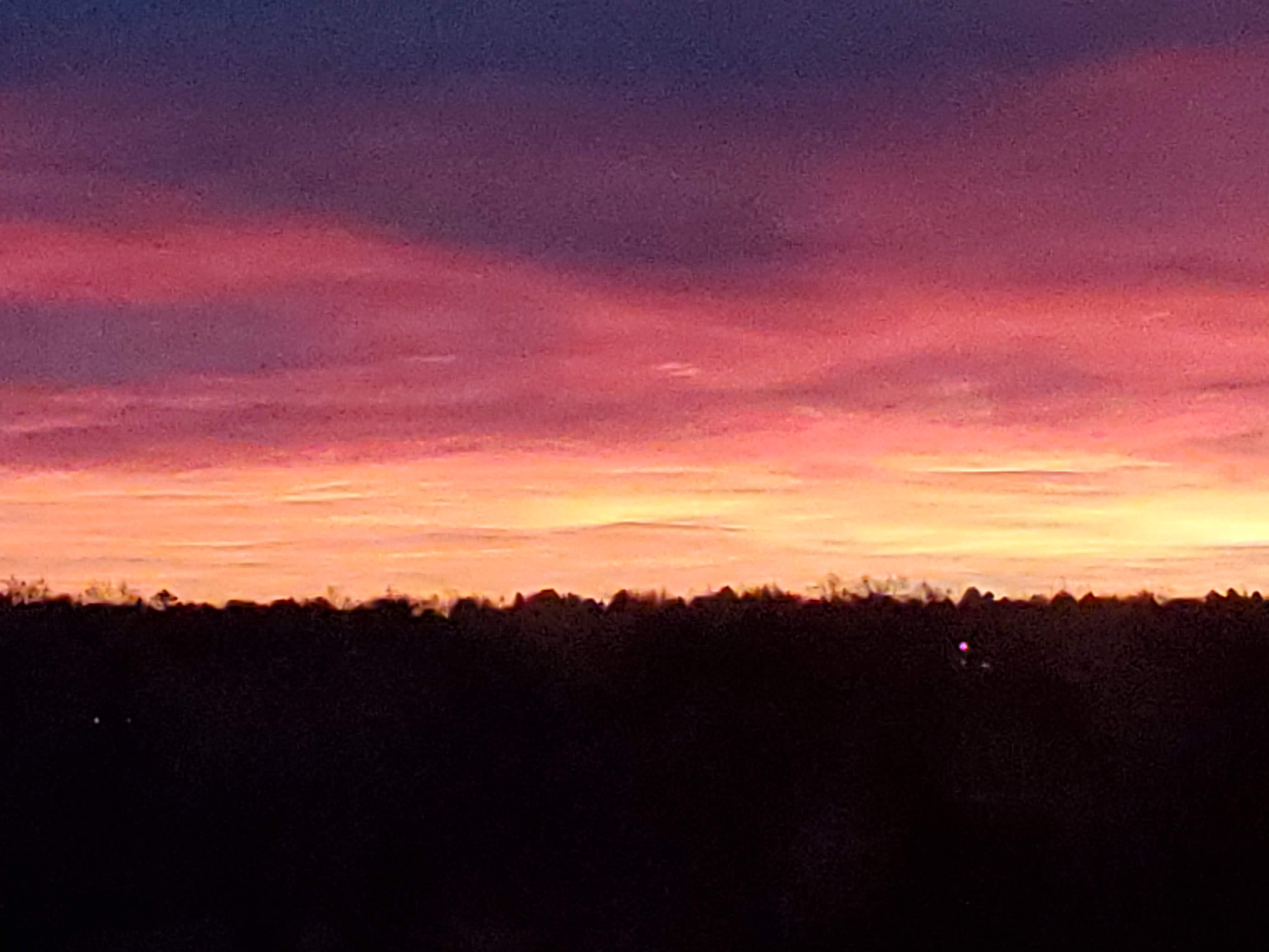 20201226_070128.jpg