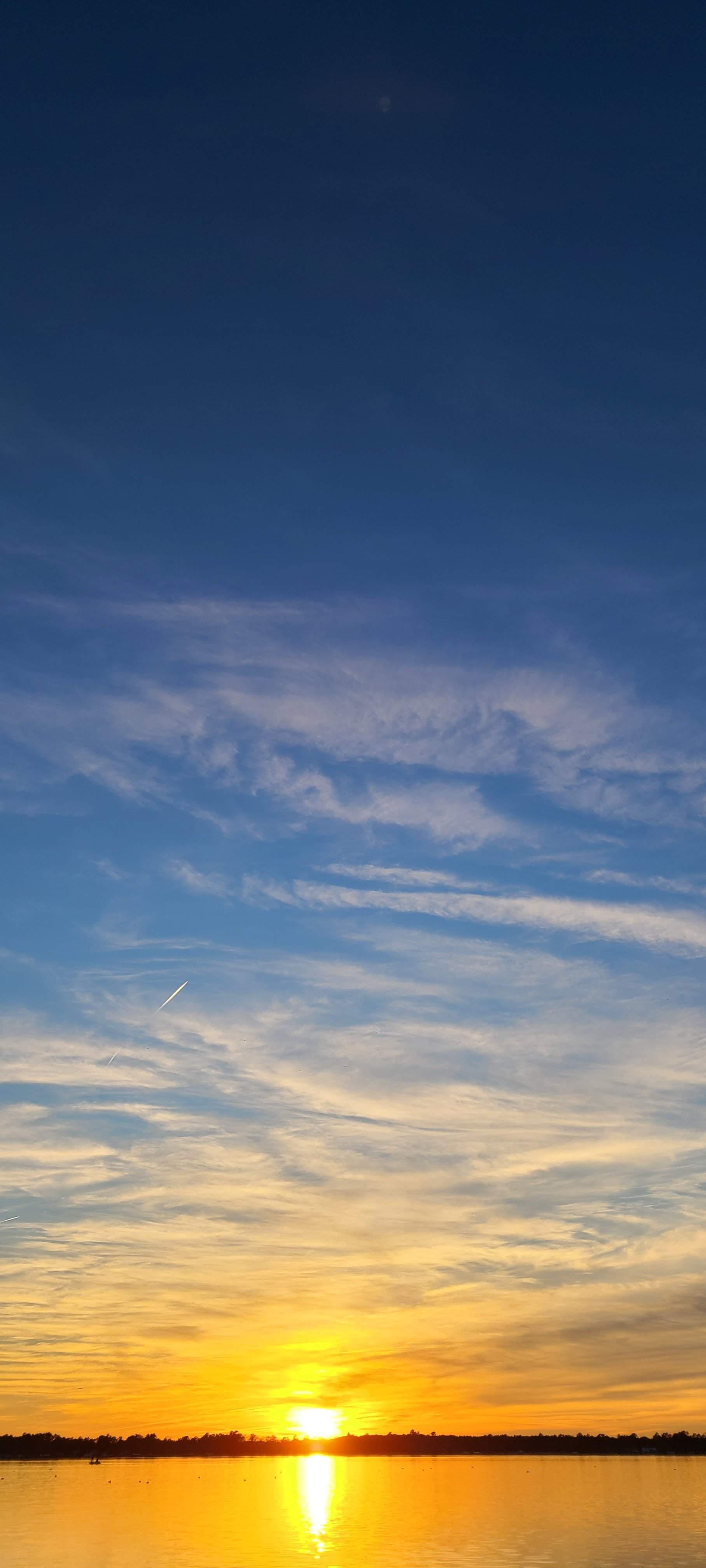 20201227_170236.jpg