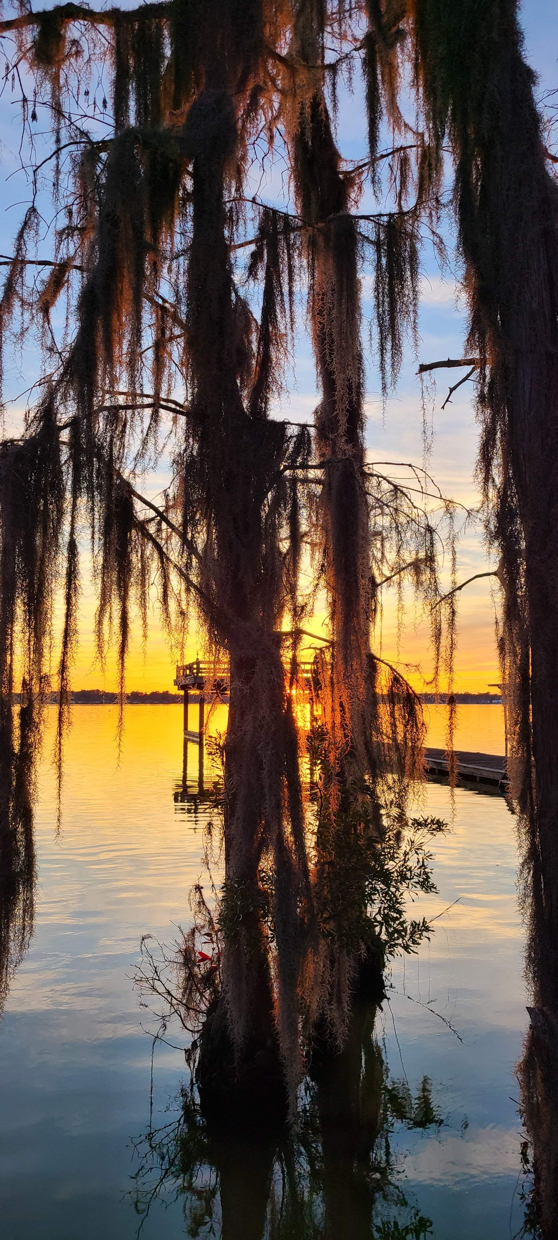 20201227_170452.jpg