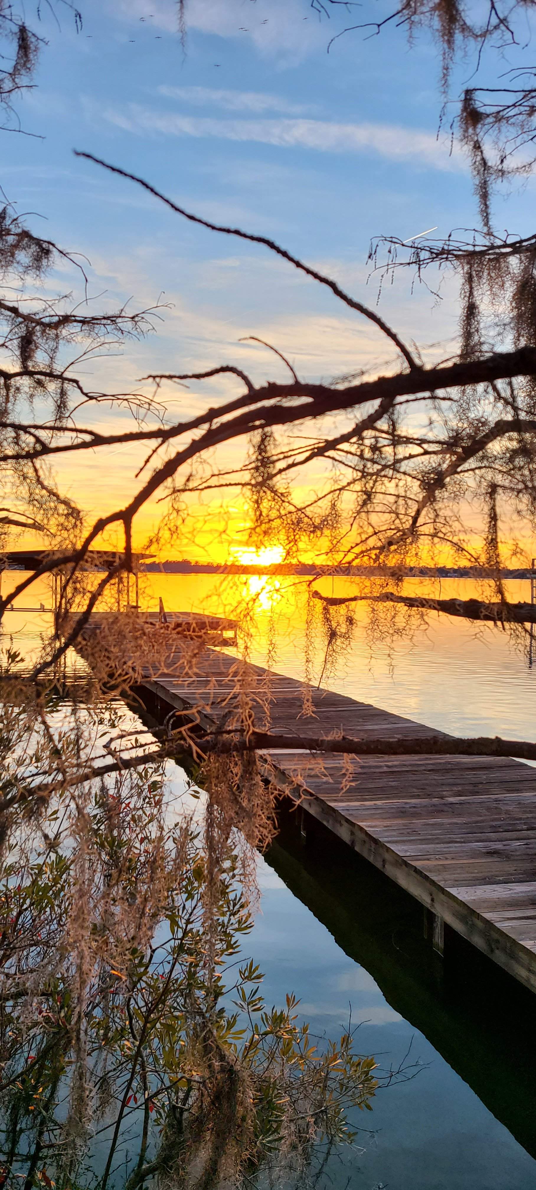 20201227_170542.jpg