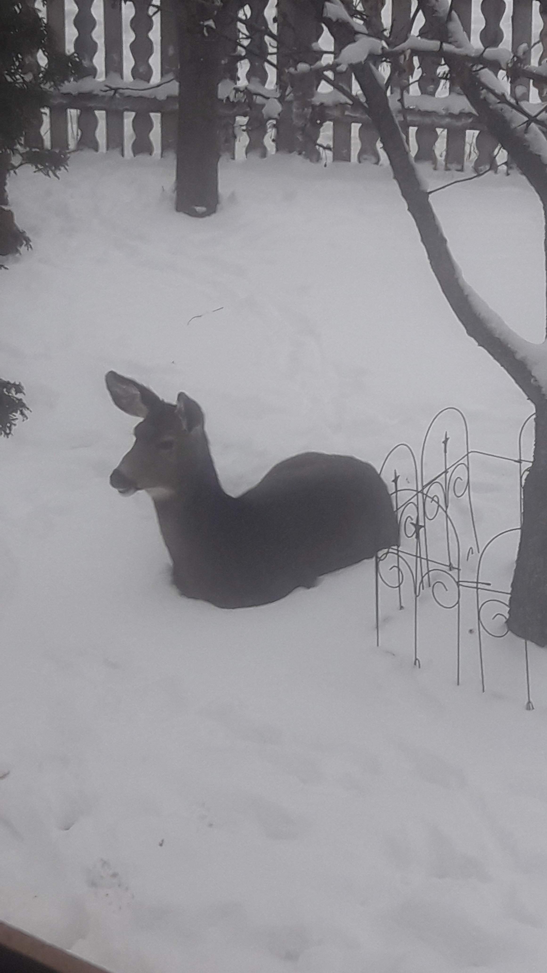 20201229_152752.jpg