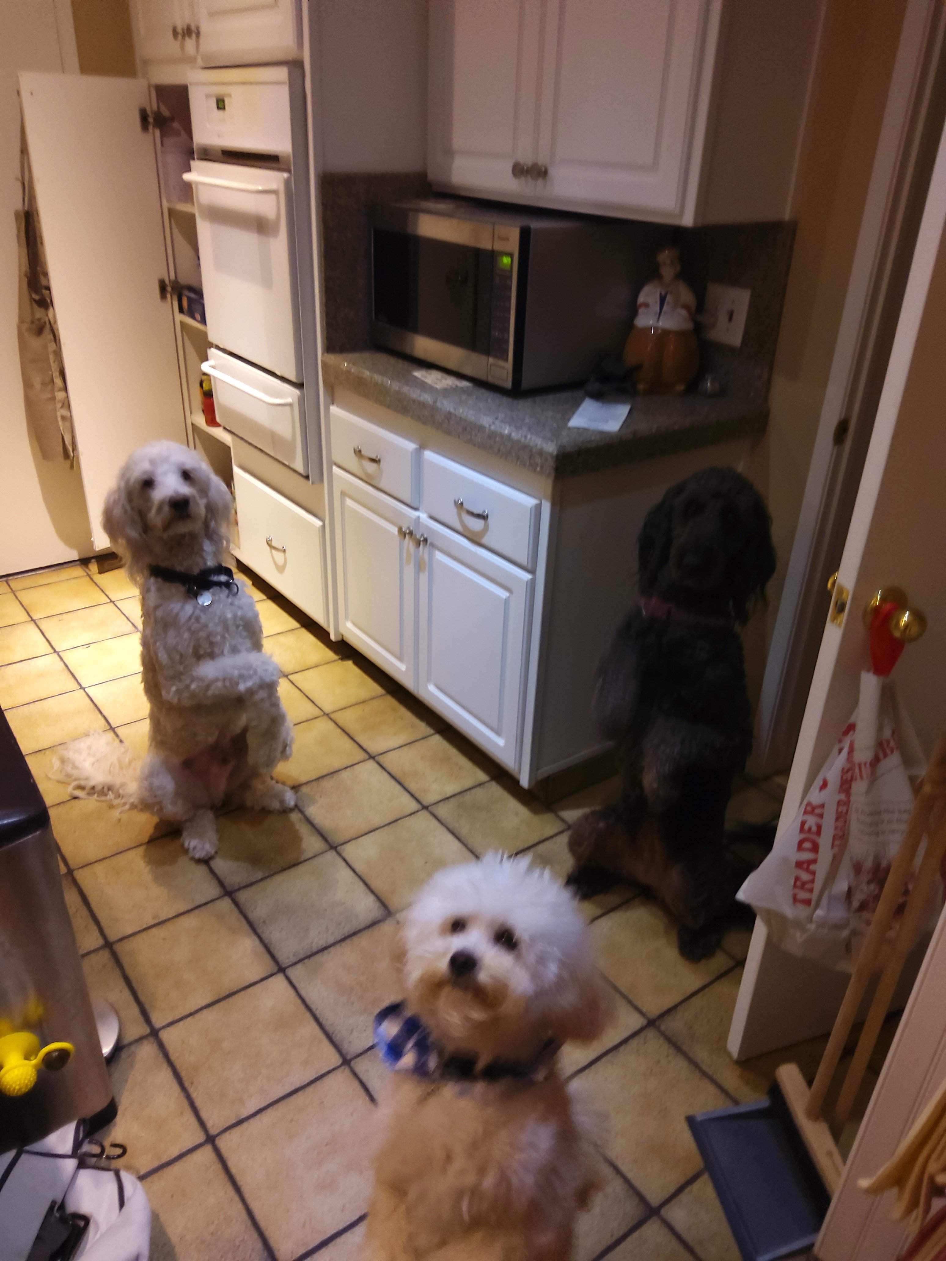 20201231_062313.jpg