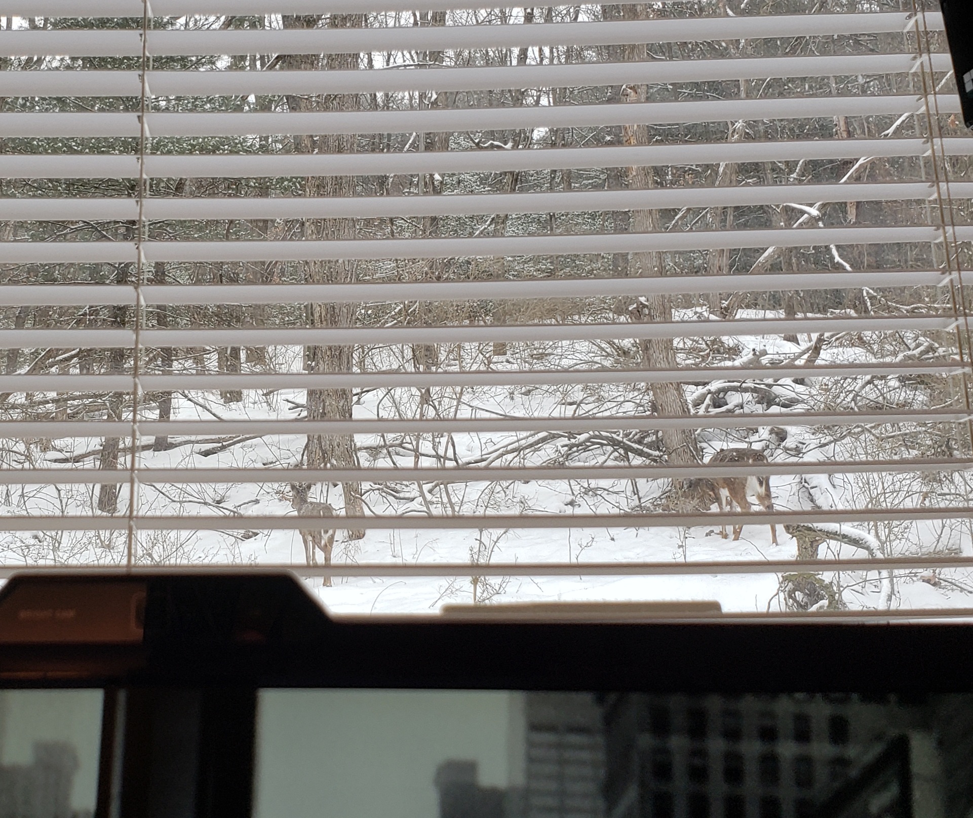 20210218_092911.jpg