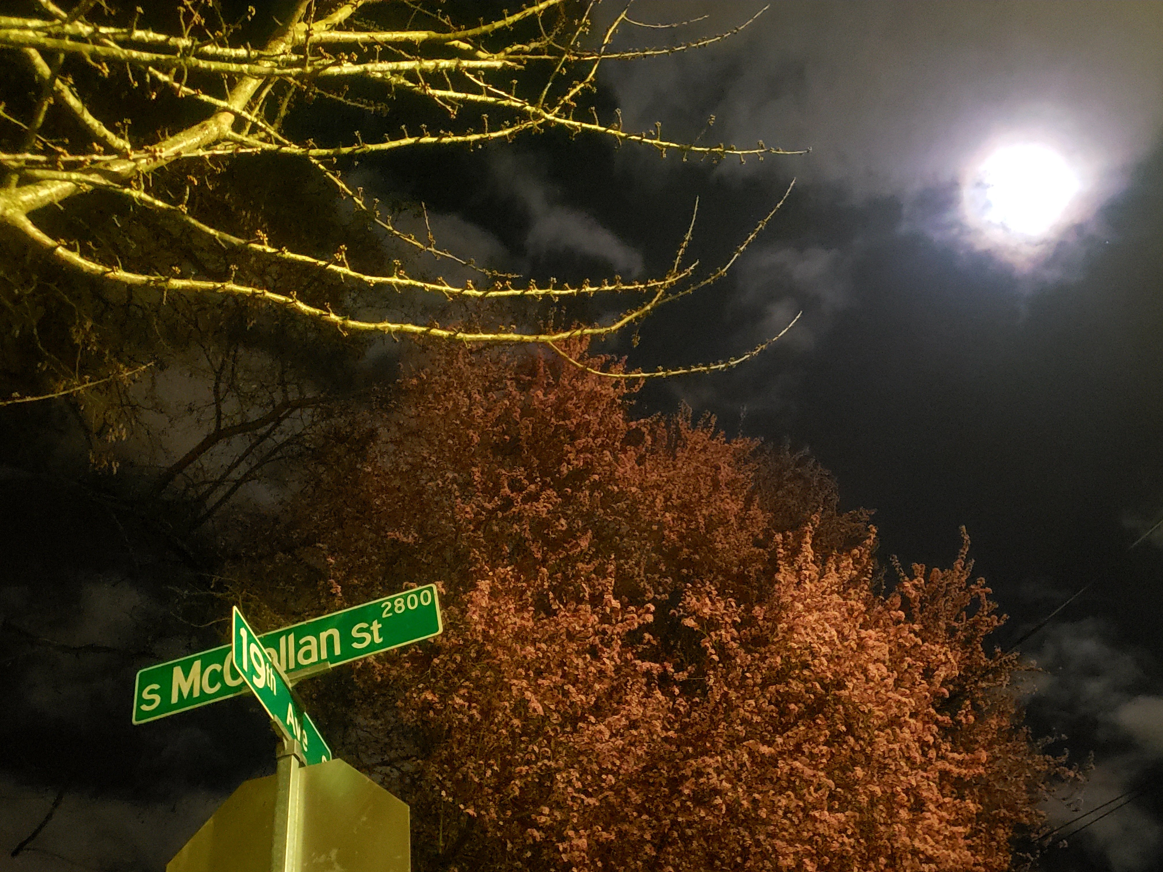 20210326_002348.jpg