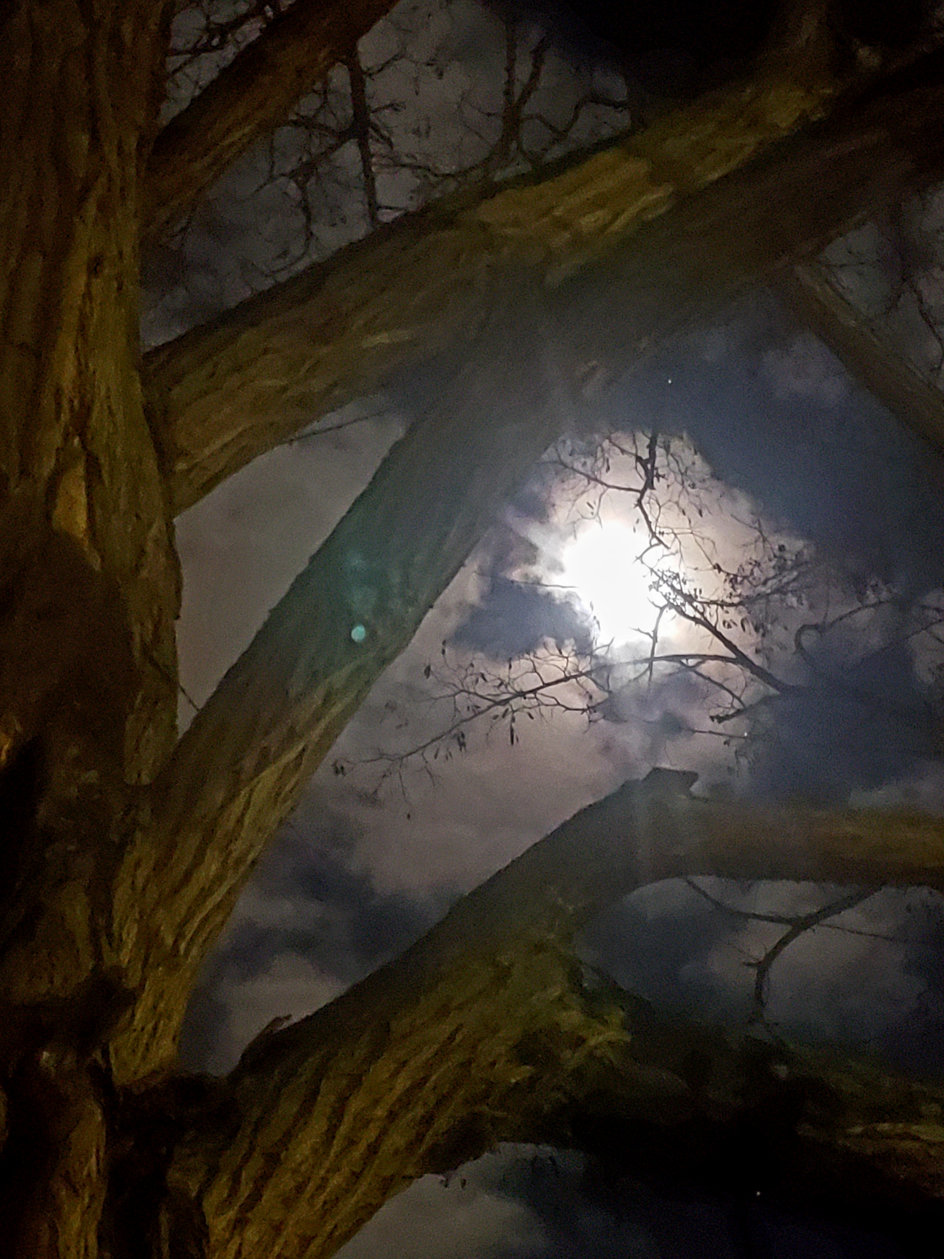 20210326_002431.jpg