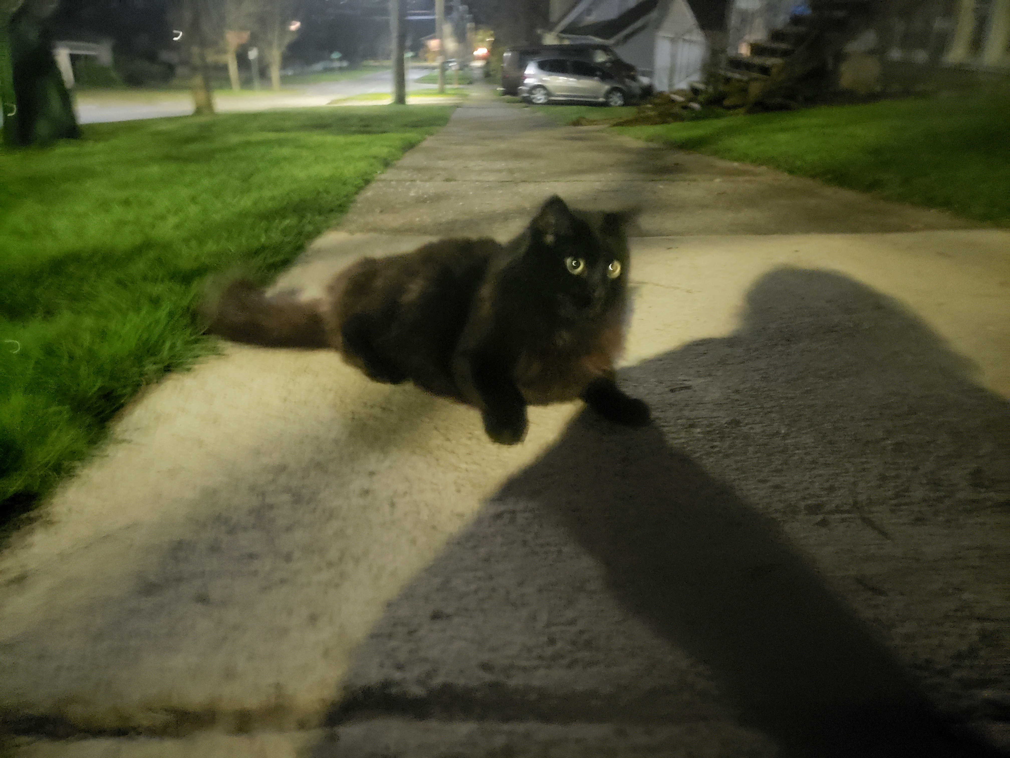 20210328_030414.jpg