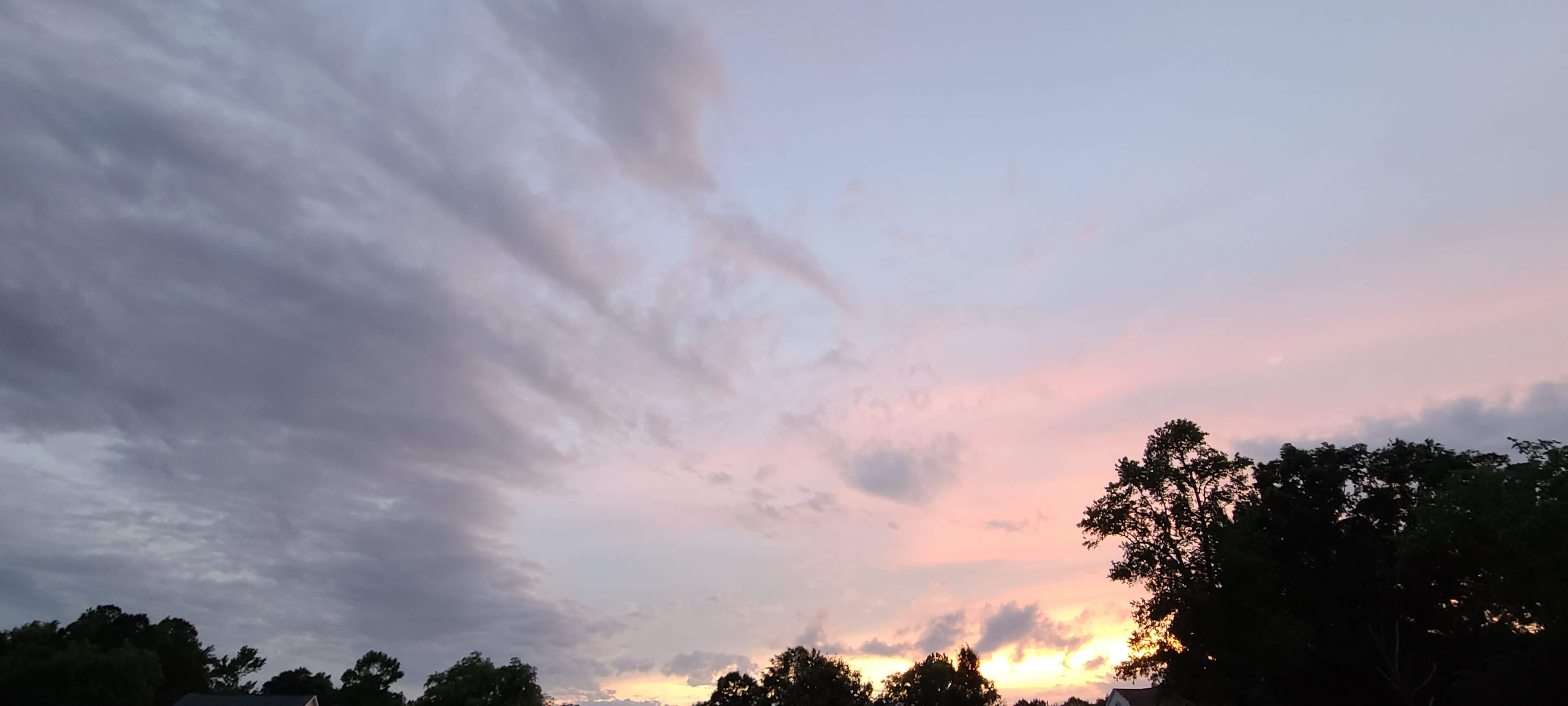 20210510_201155.jpg