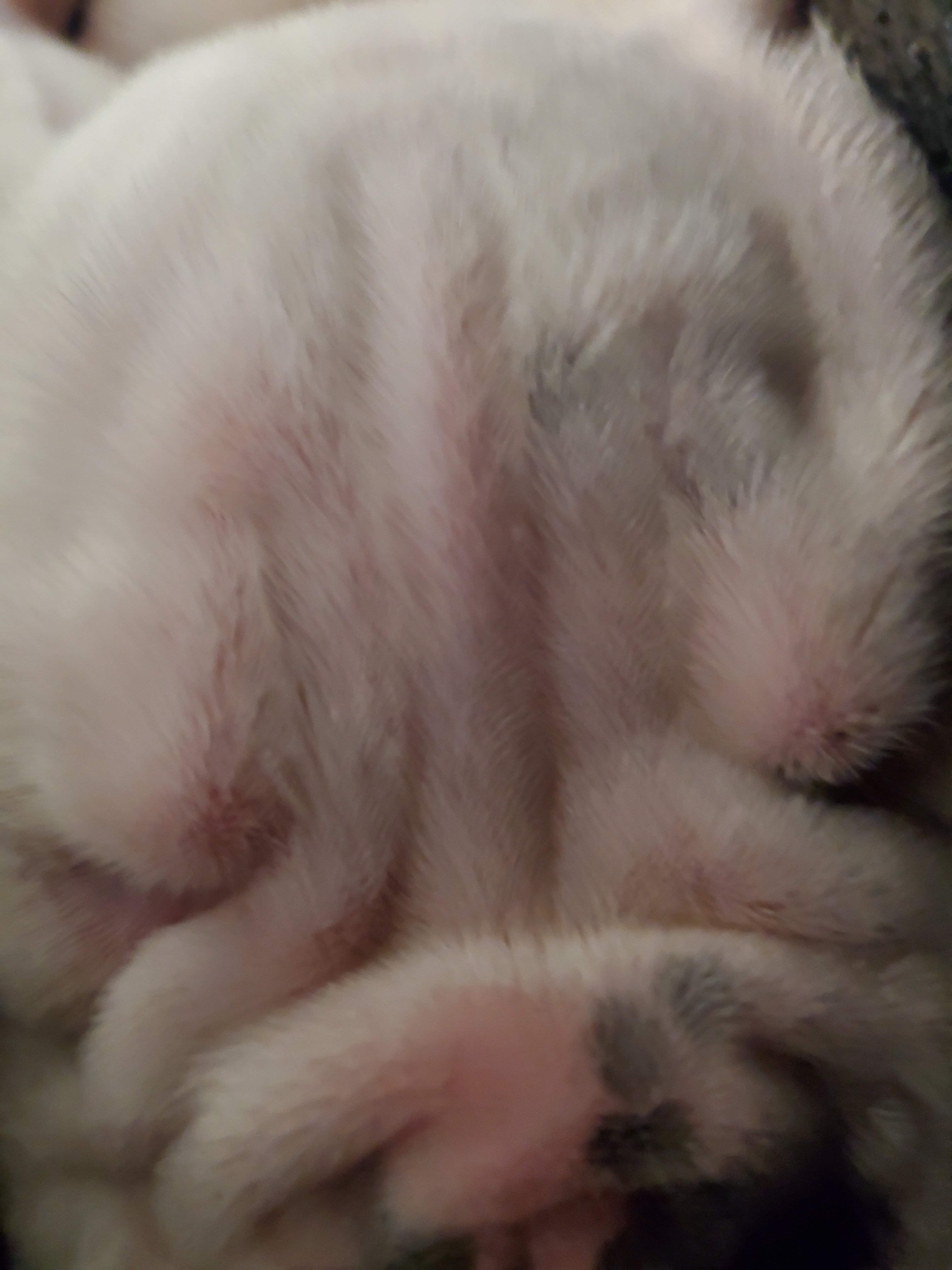 20210516_162054.jpg