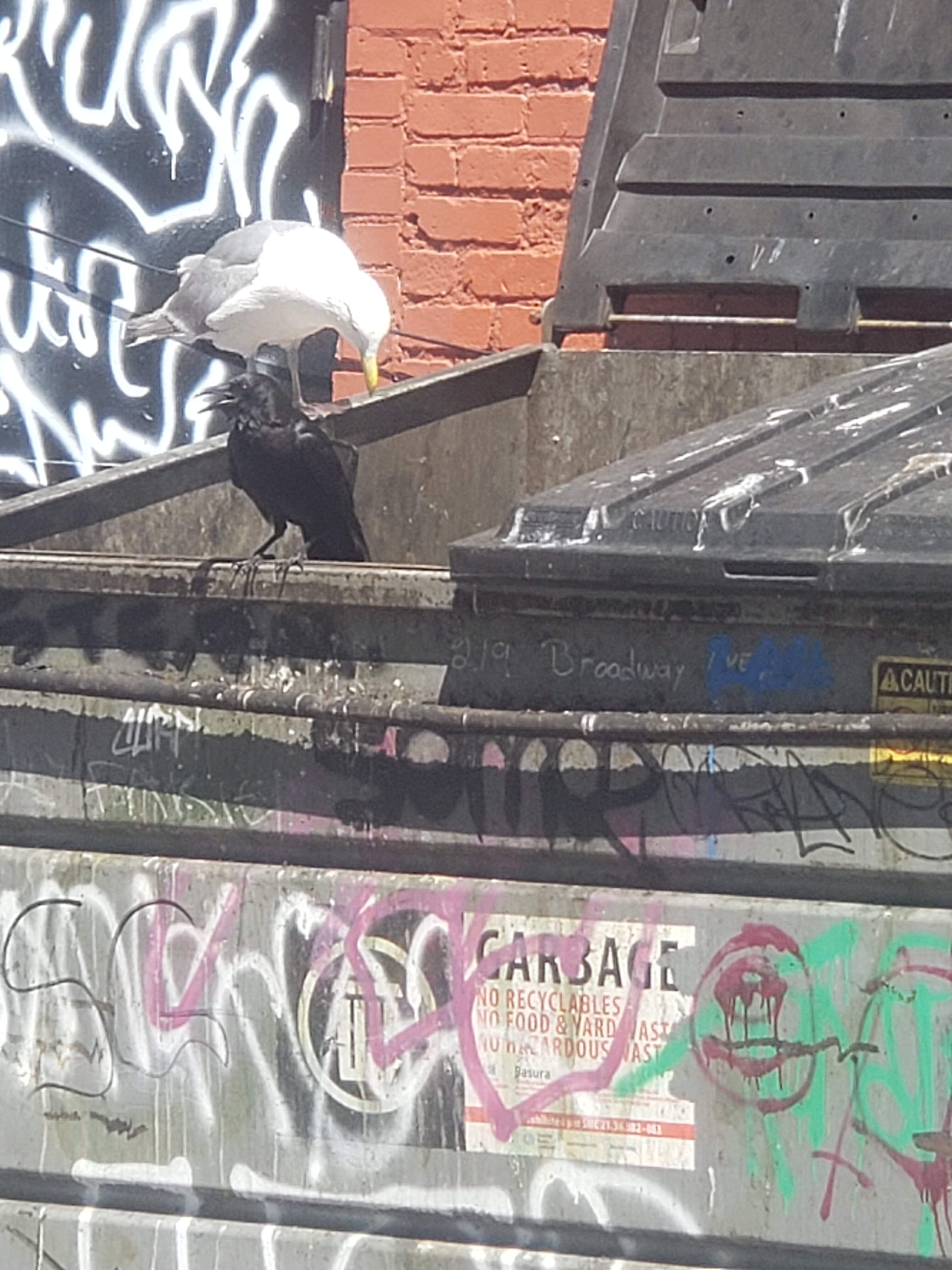 20210618_145128.jpg