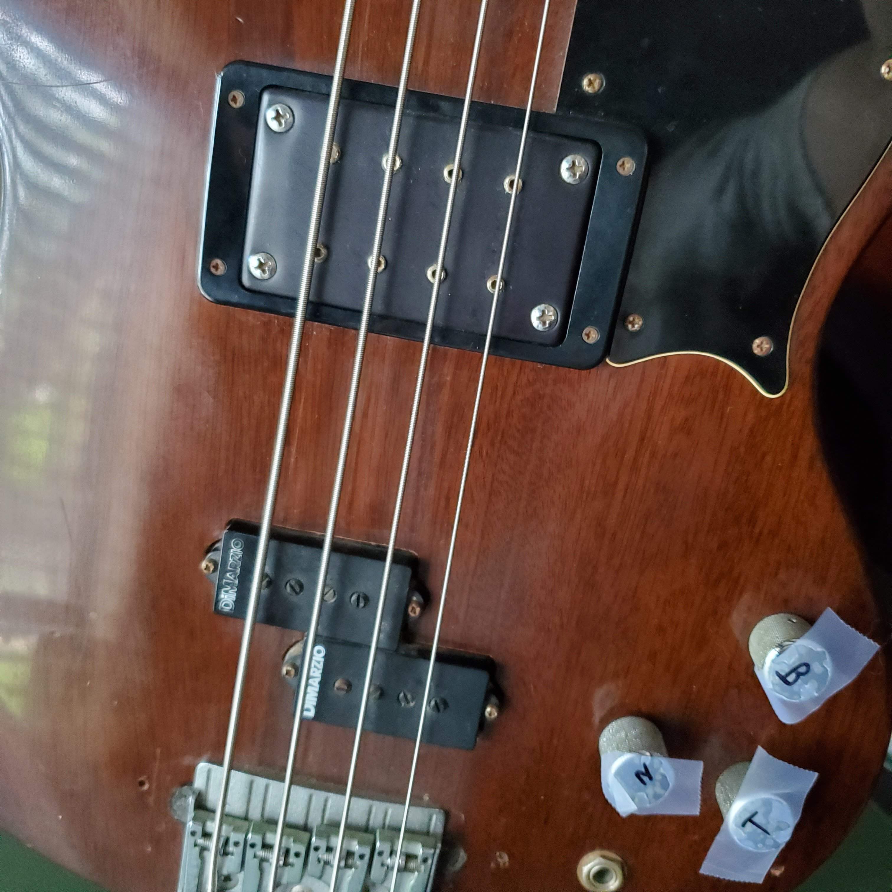 20210627_145344.jpg