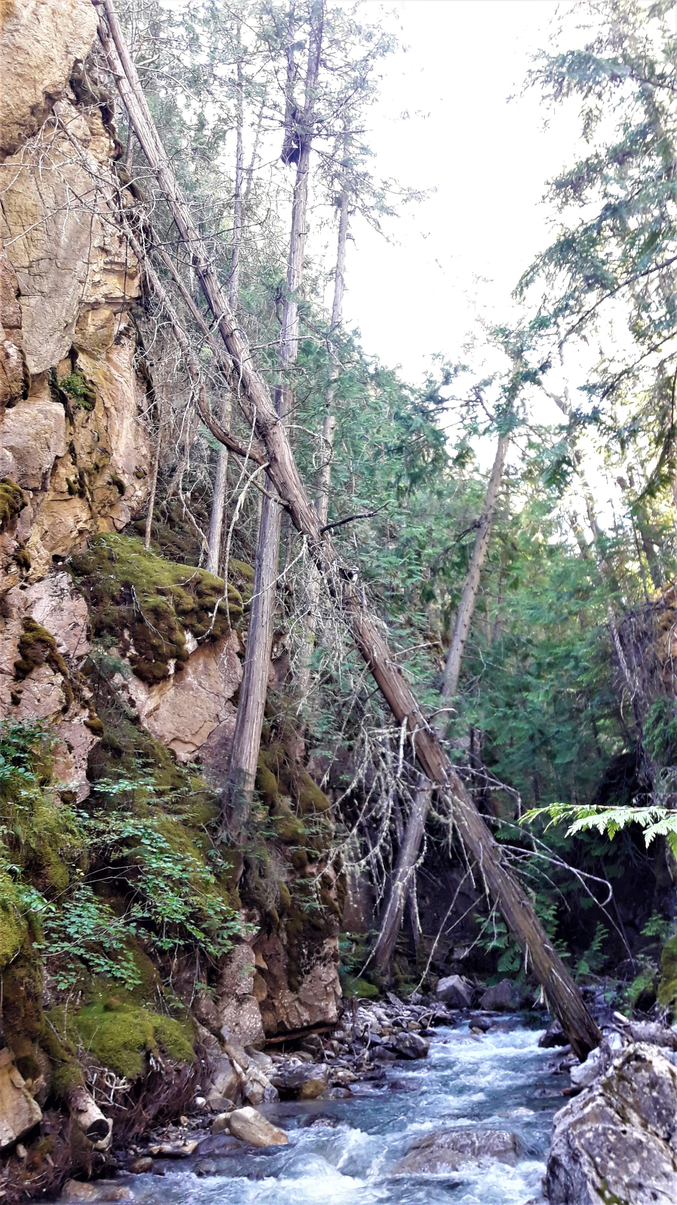 20210628_153105 (2).jpg