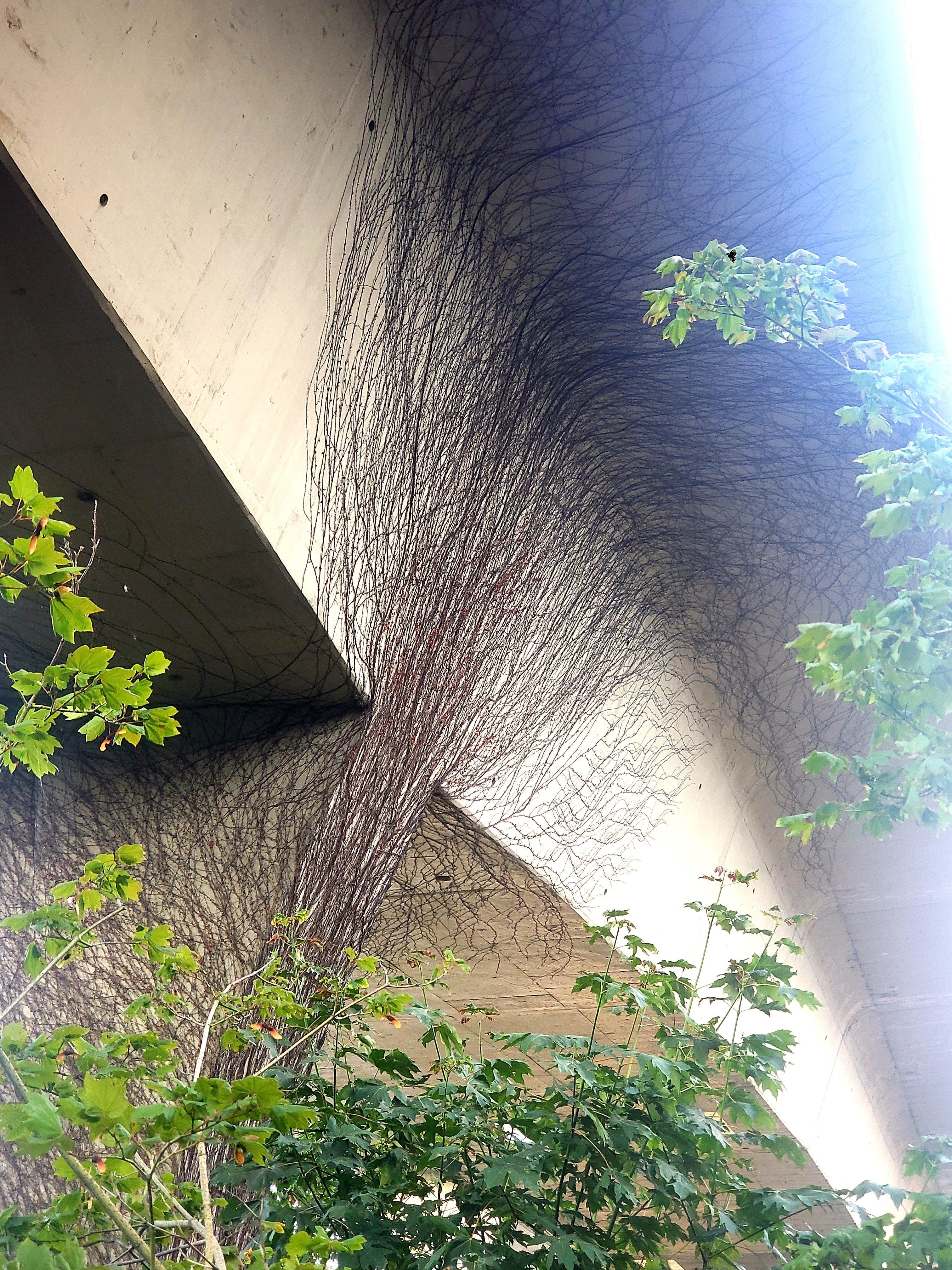 20210815_192121.jpg