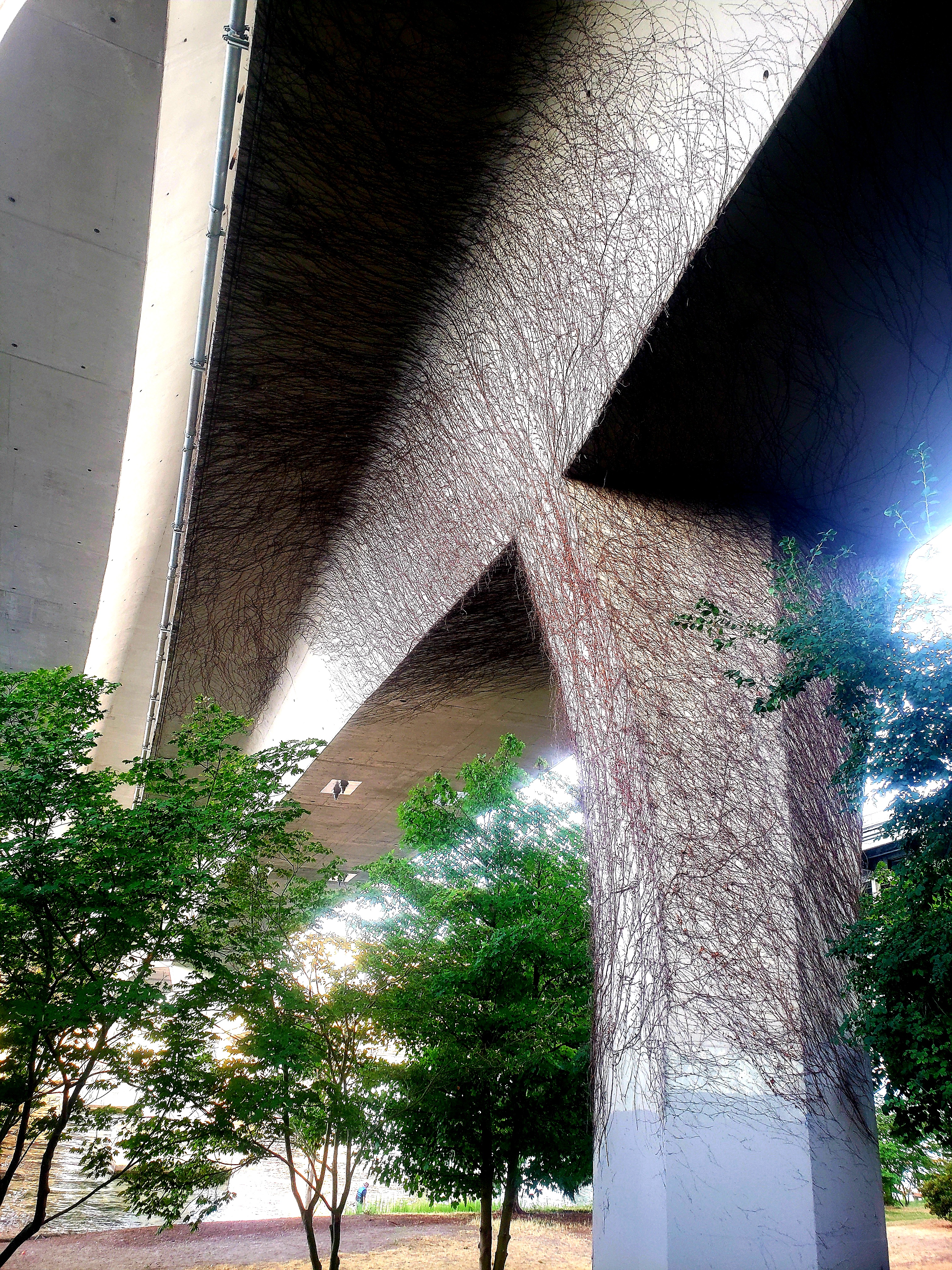20210815_195052.jpg