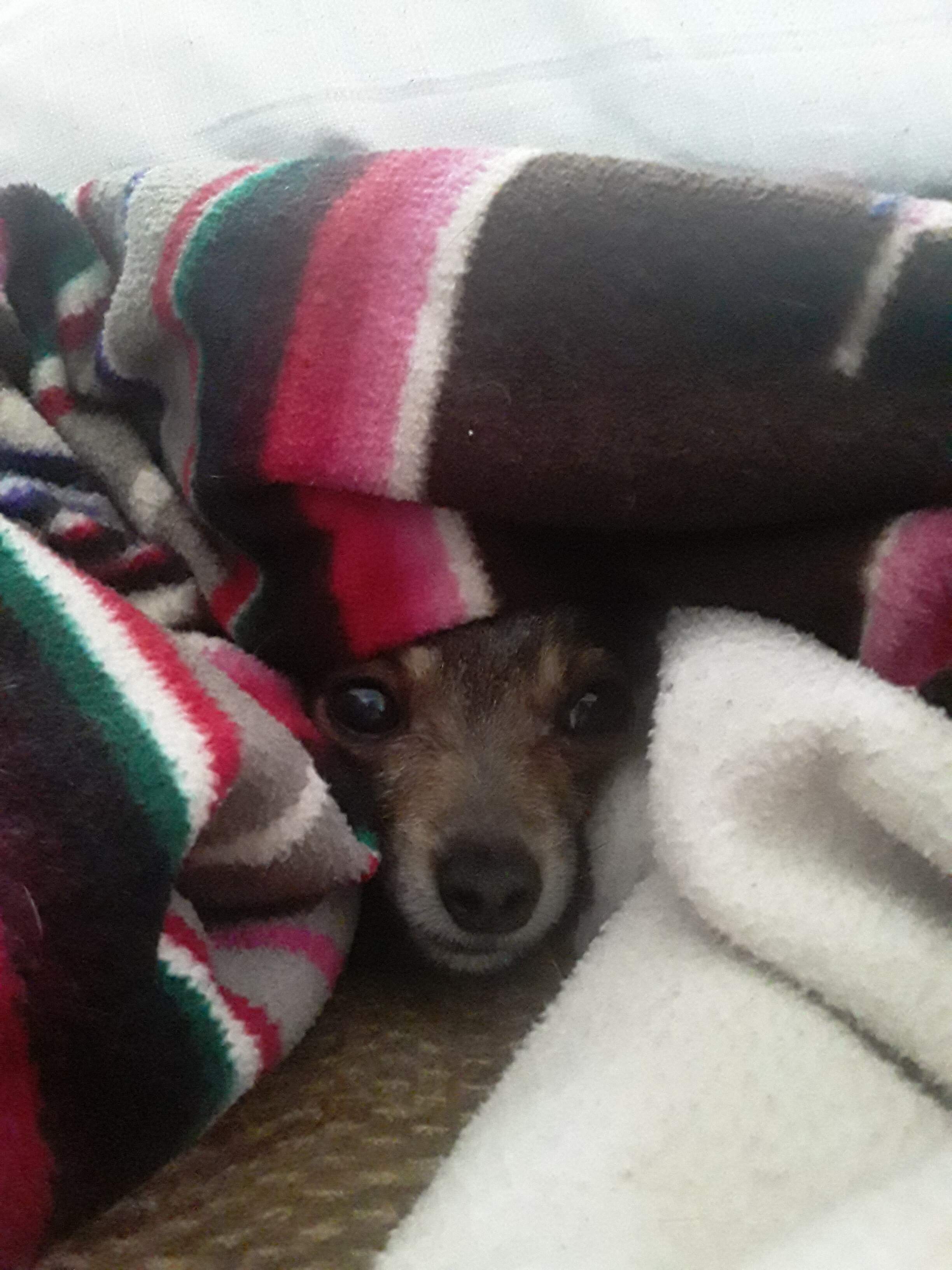 20210821_165813.jpg