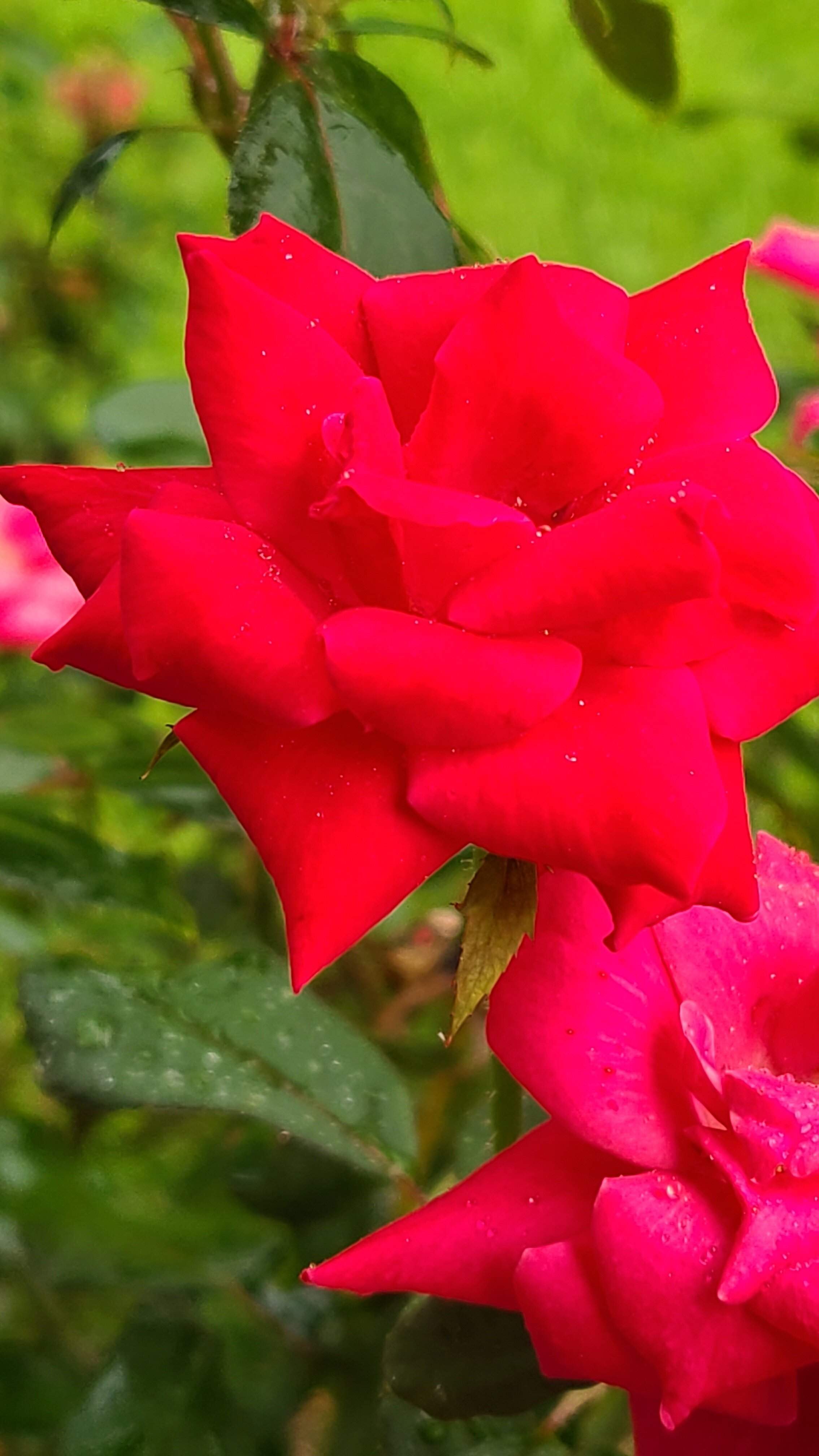 20210824_183734.jpg