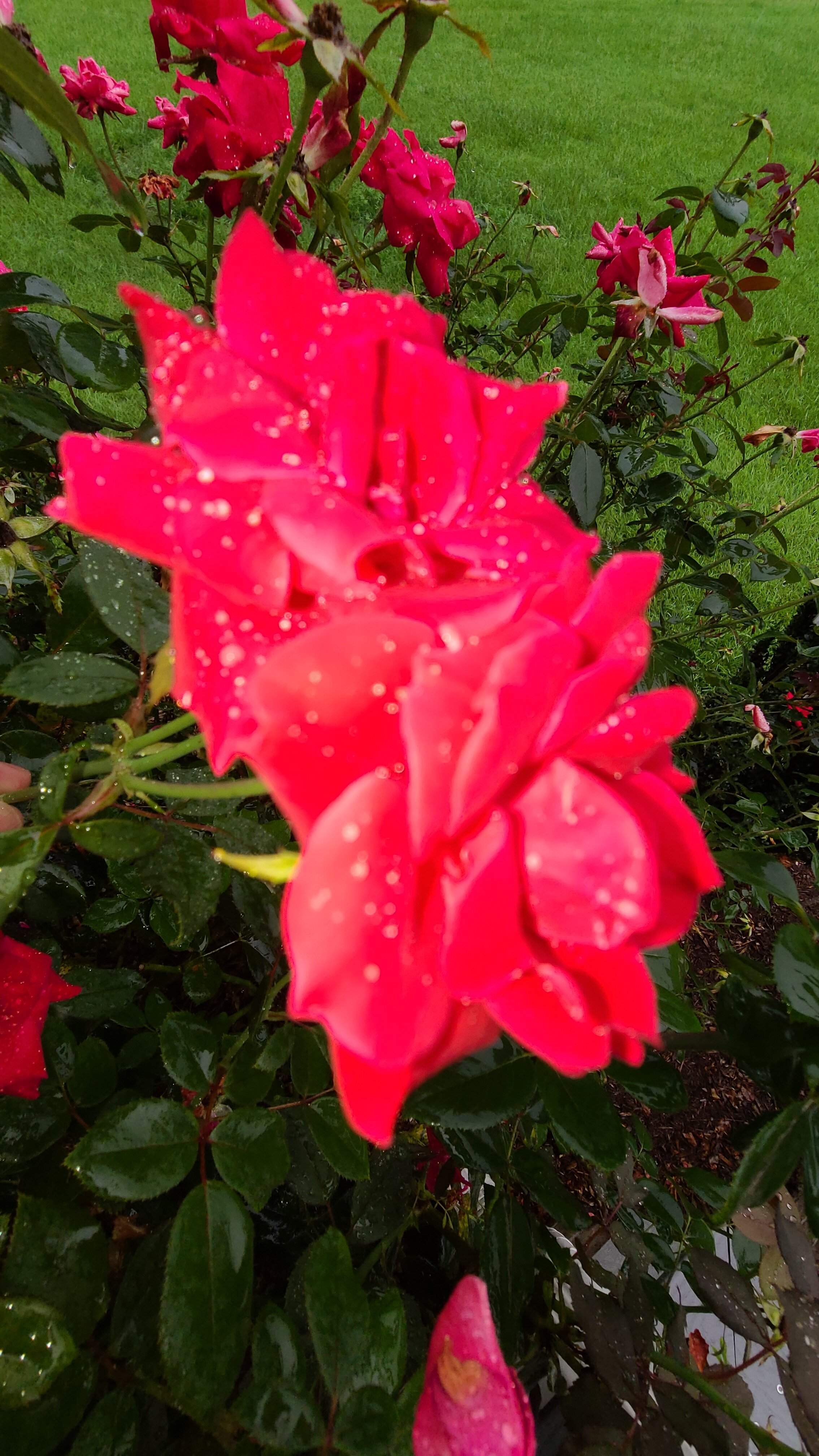 20210824_183946.jpg