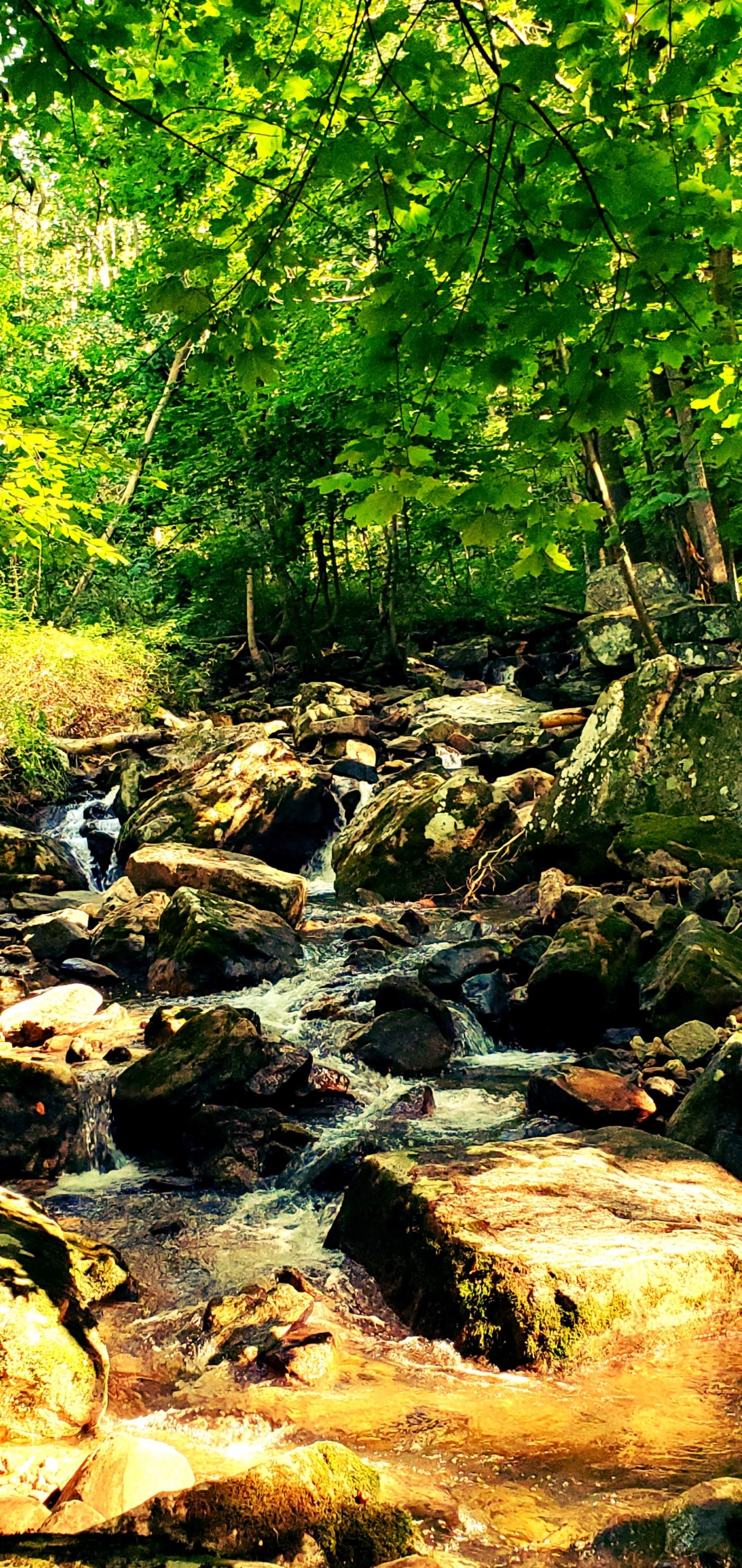 20210904_153423.jpg