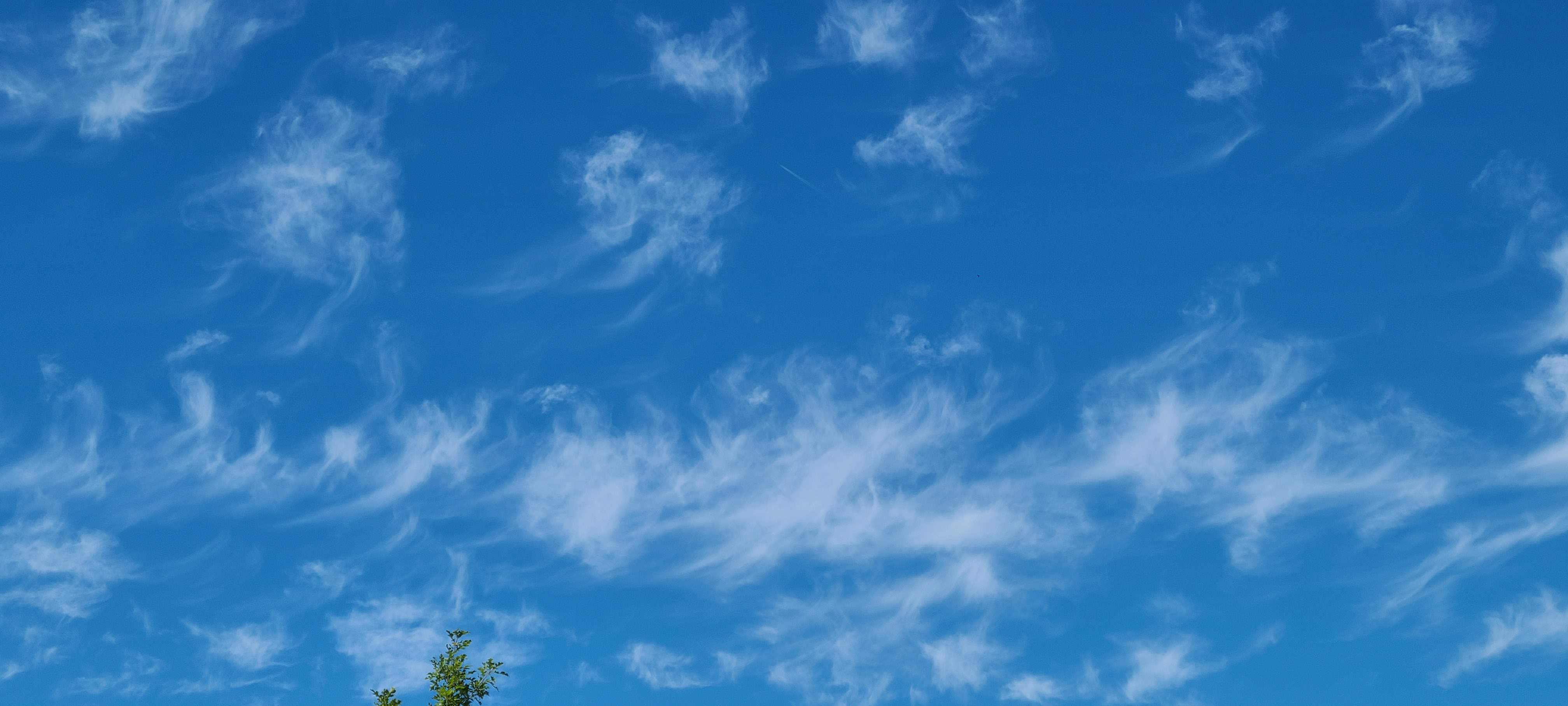 20210927_143417.jpg