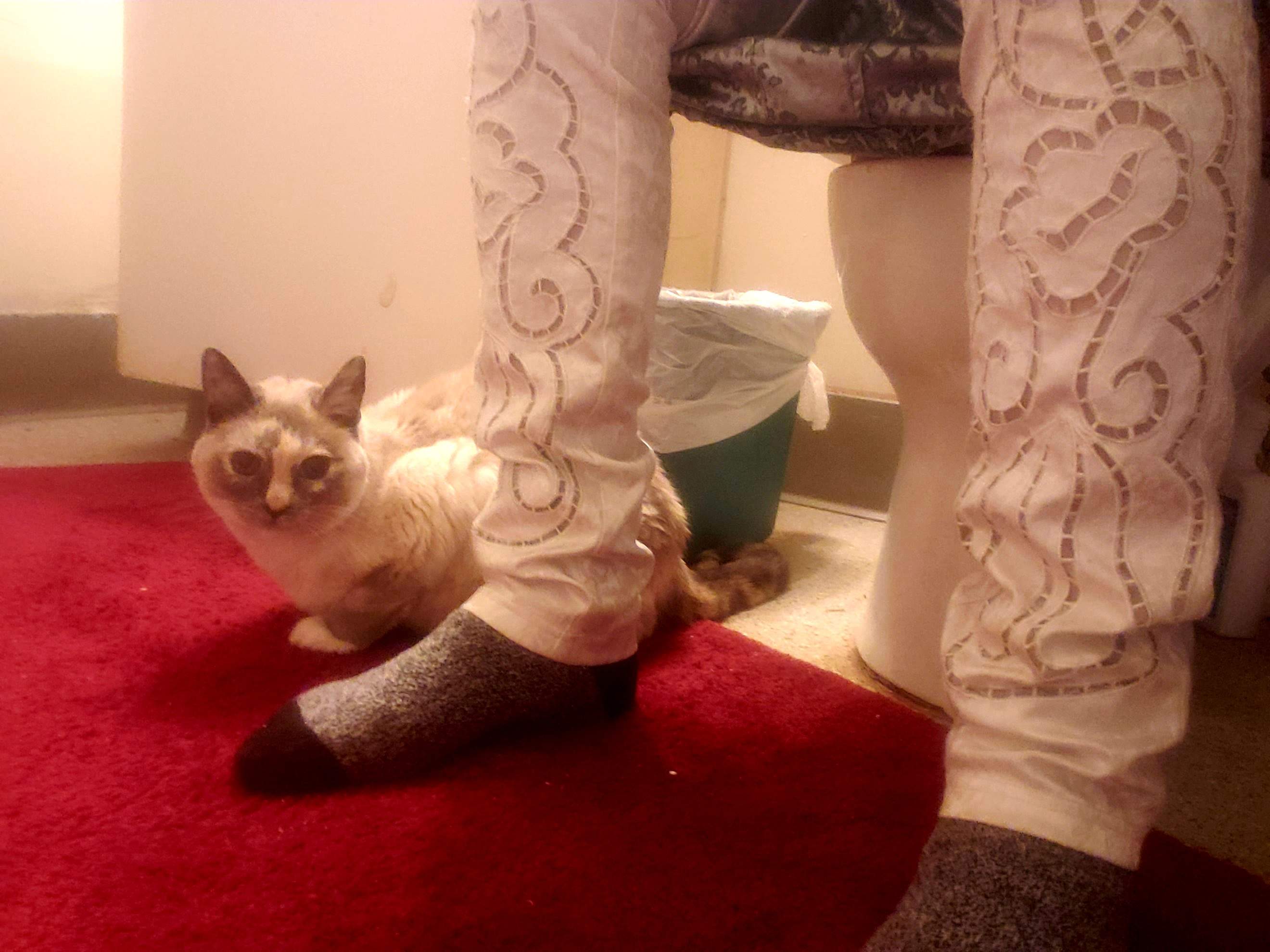 20211007_093142.jpg