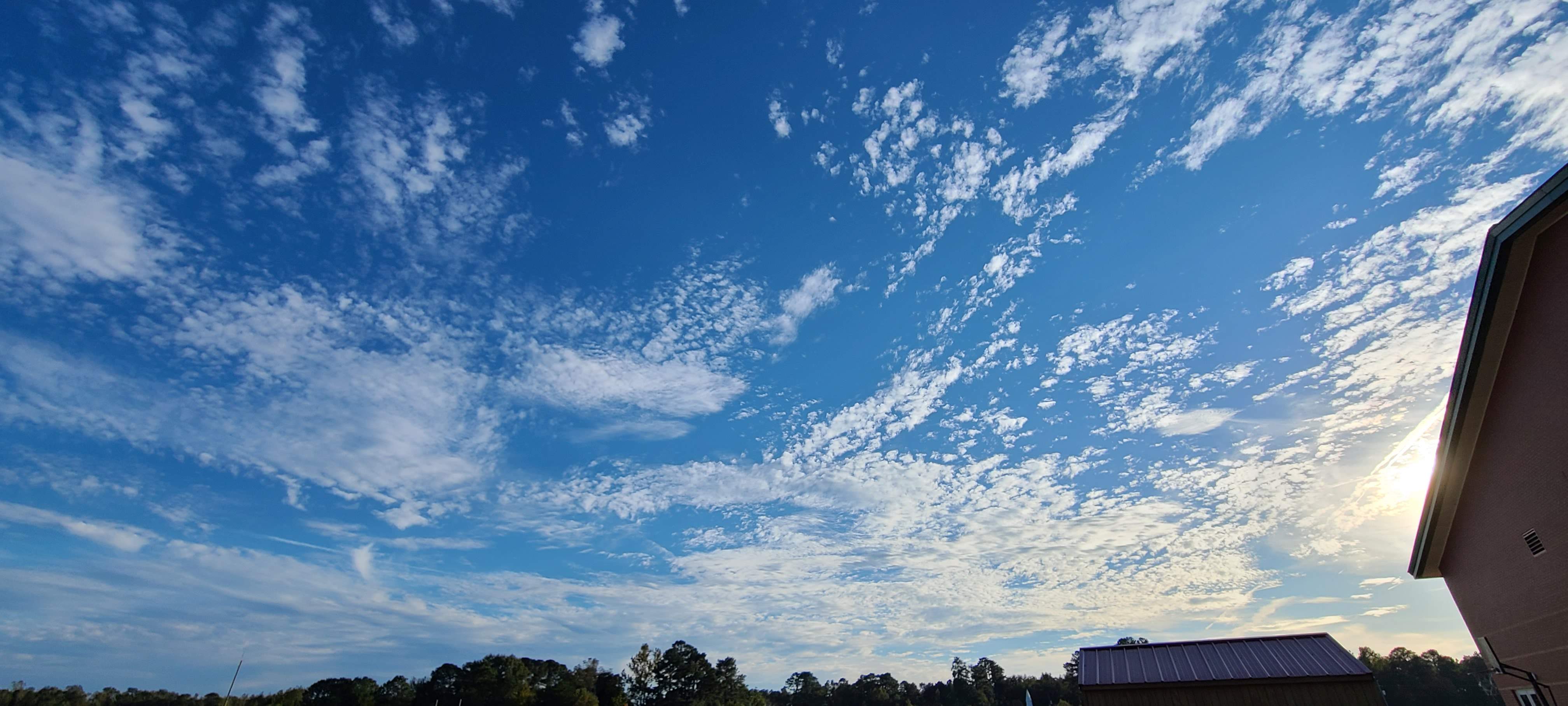 20211021_171313.jpg