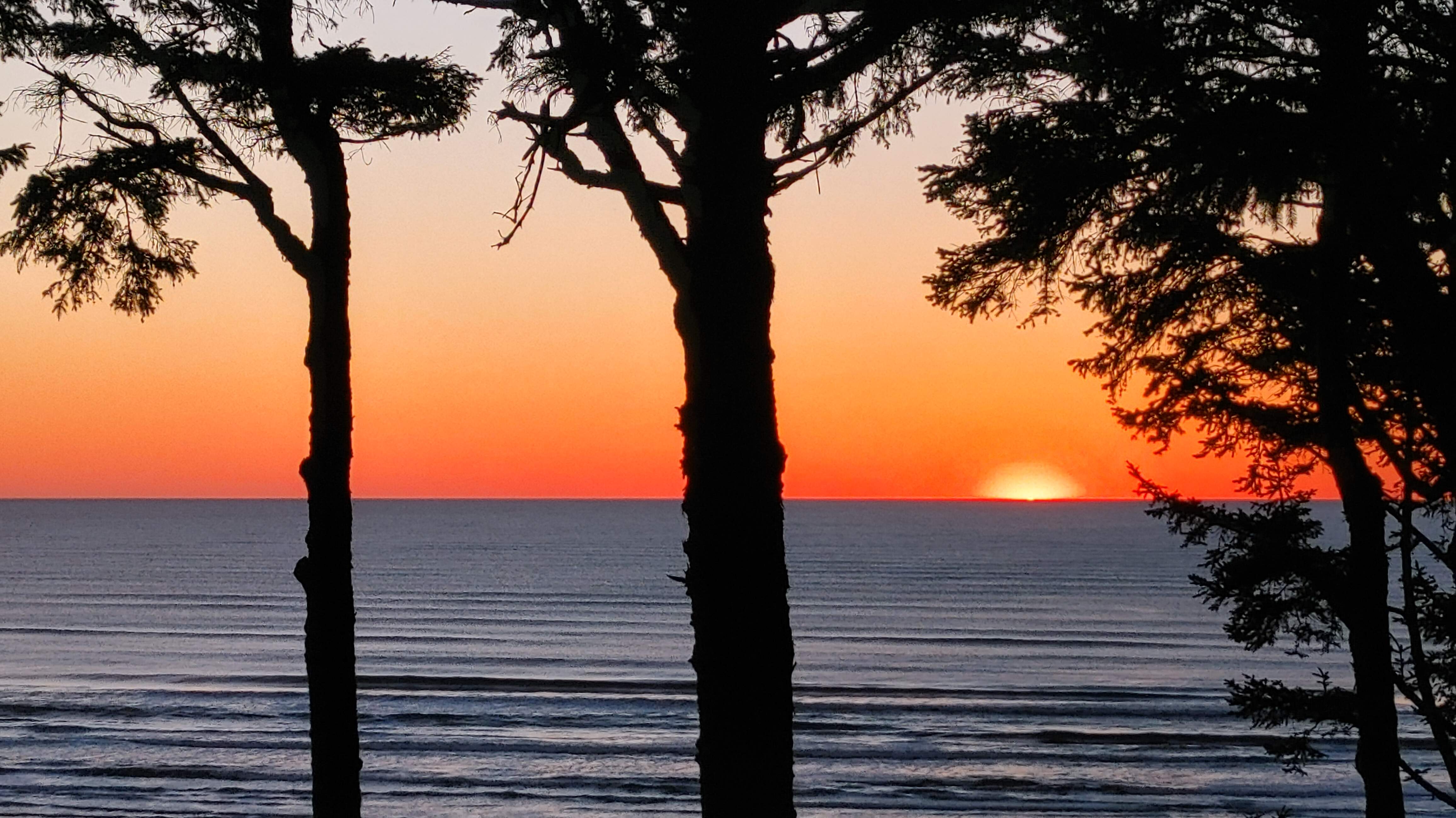 20211030_180401_HDR.jpg