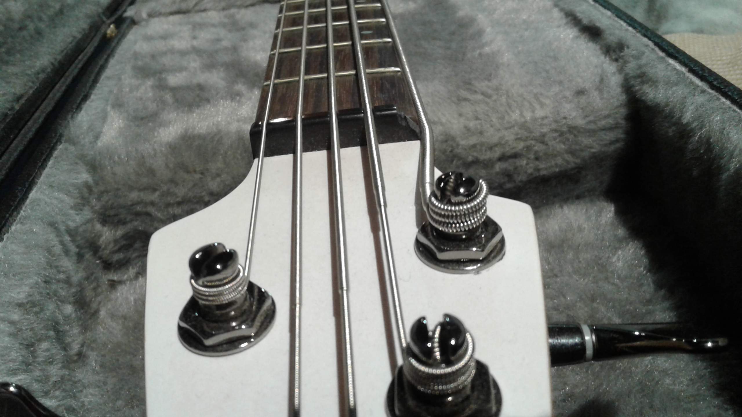 20211116_172416.jpg
