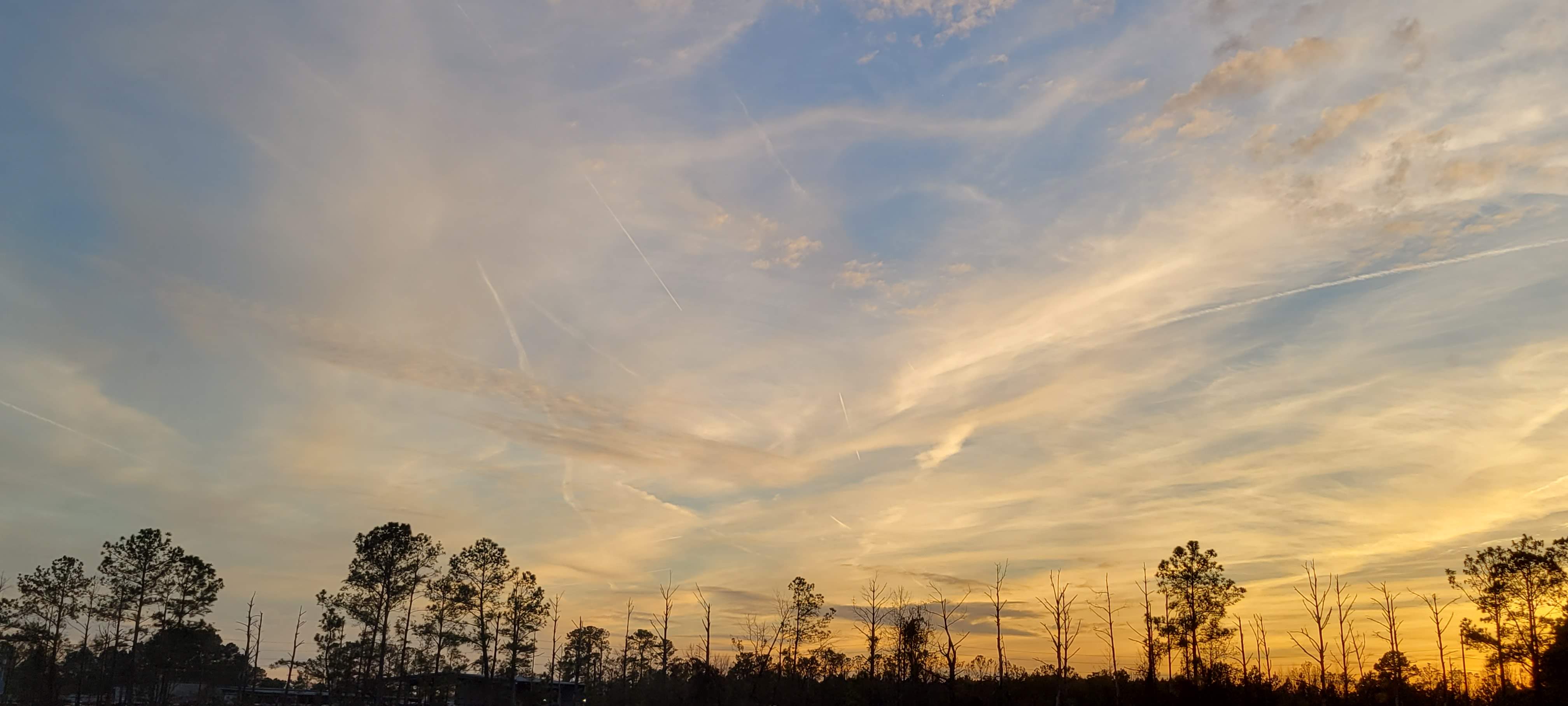 20211216_164646.jpg