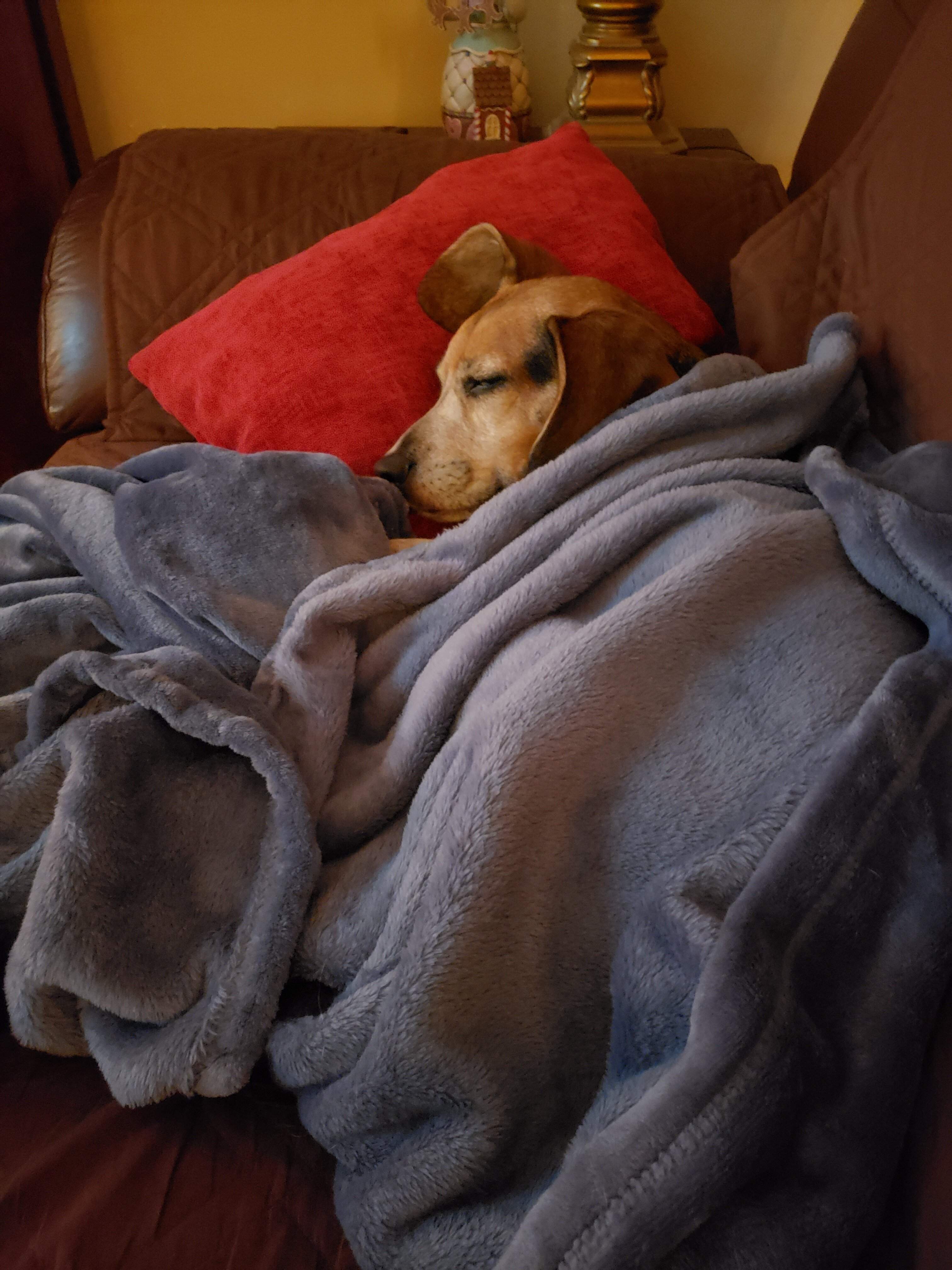 20211225_173626.jpg