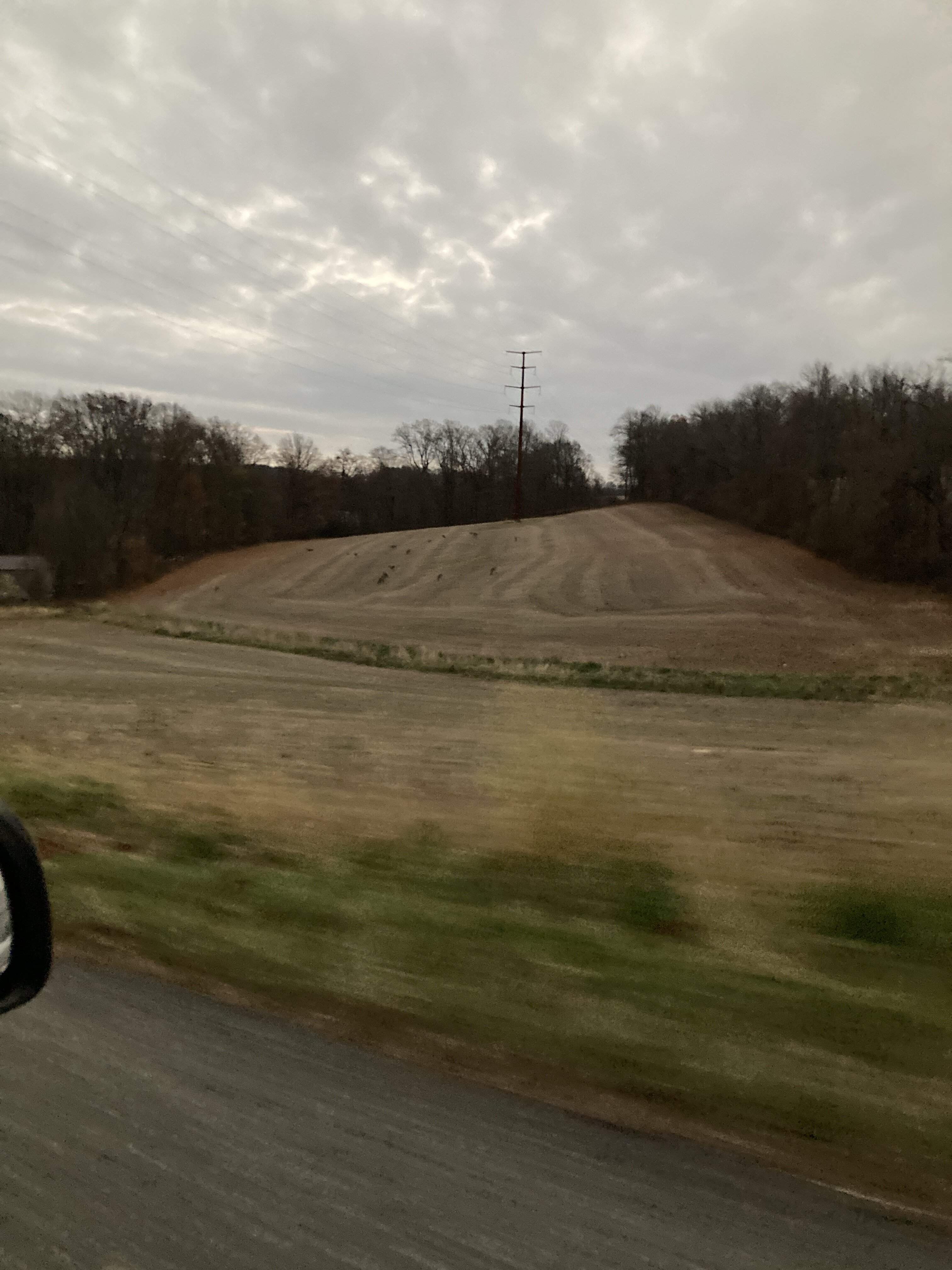 2022-11-12_17-05-07_723.jpeg