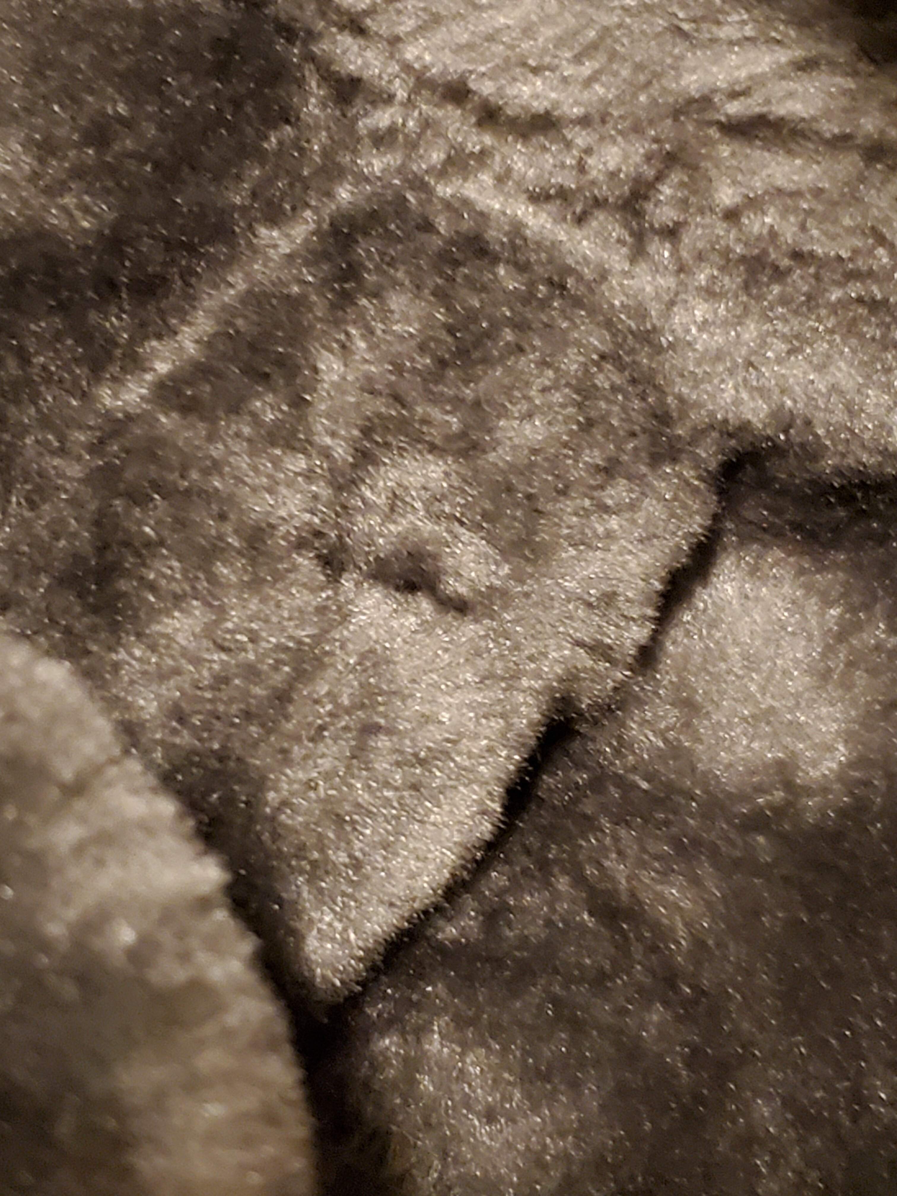 20220129_204931.jpg