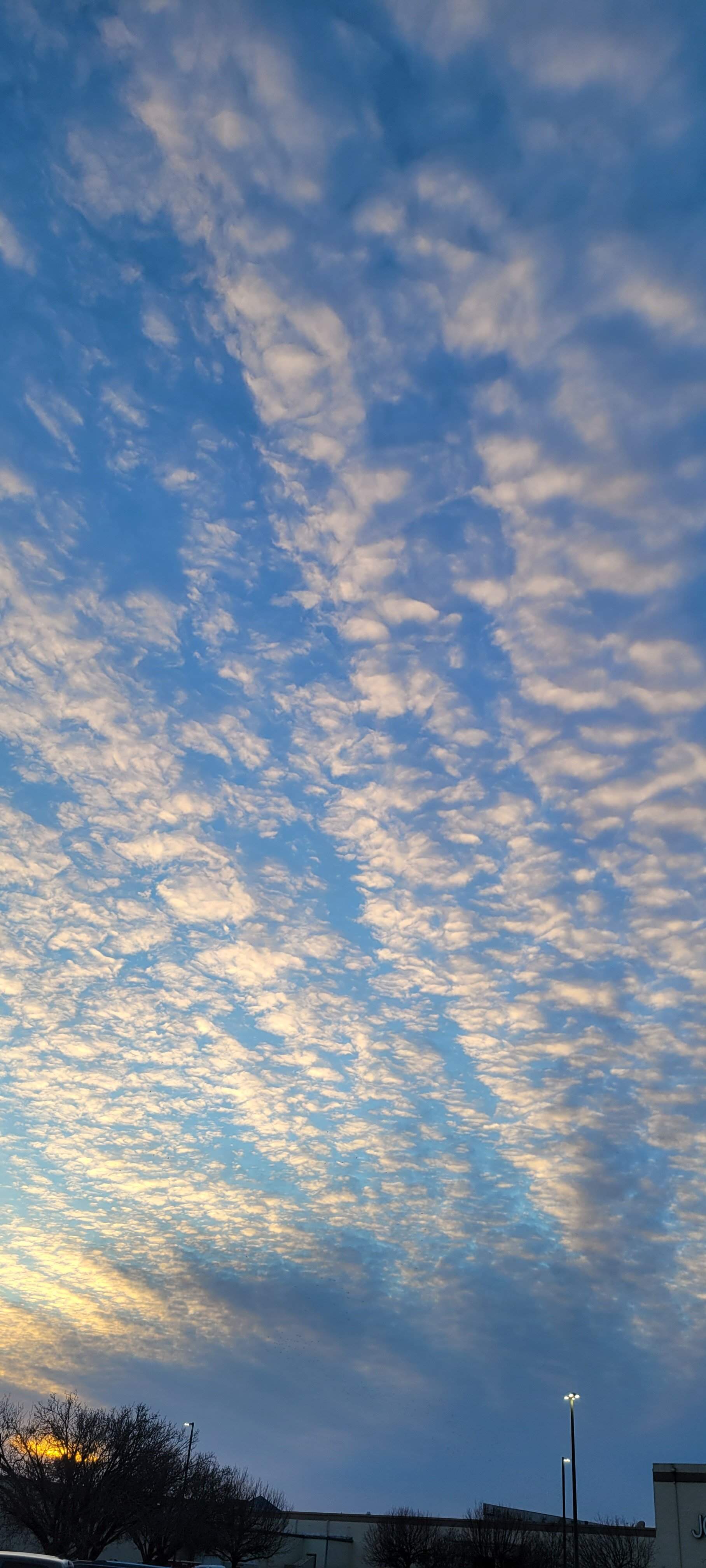 20220130_172417.jpg