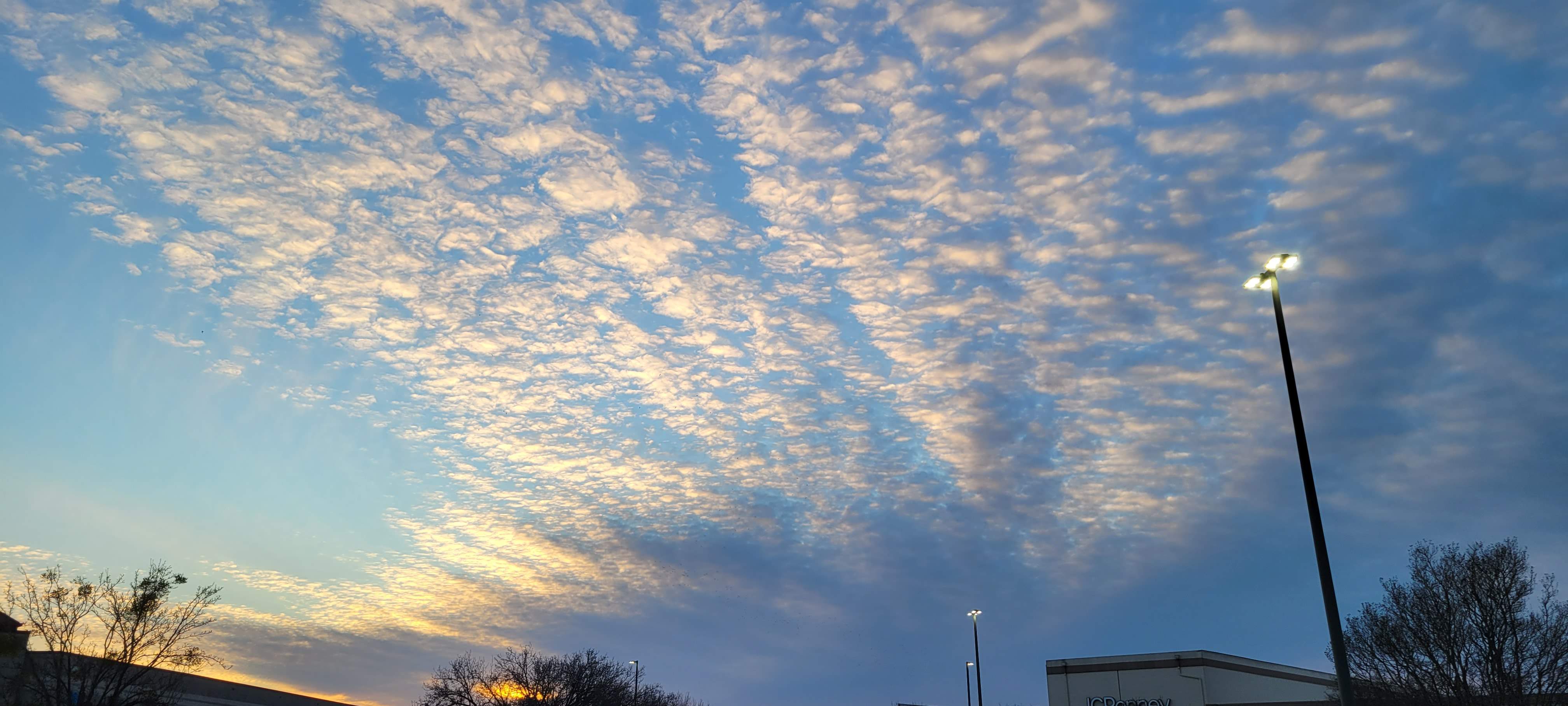 20220130_172421.jpg