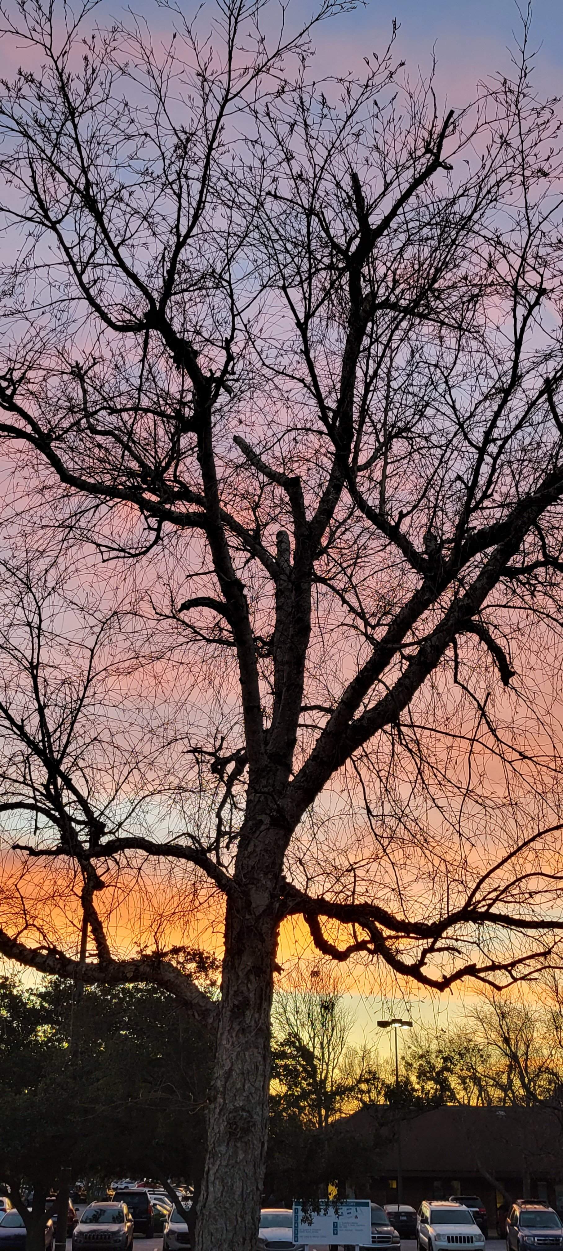 20220131_070456.jpg