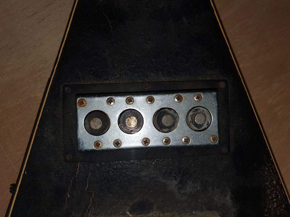 20220203_102651.jpg