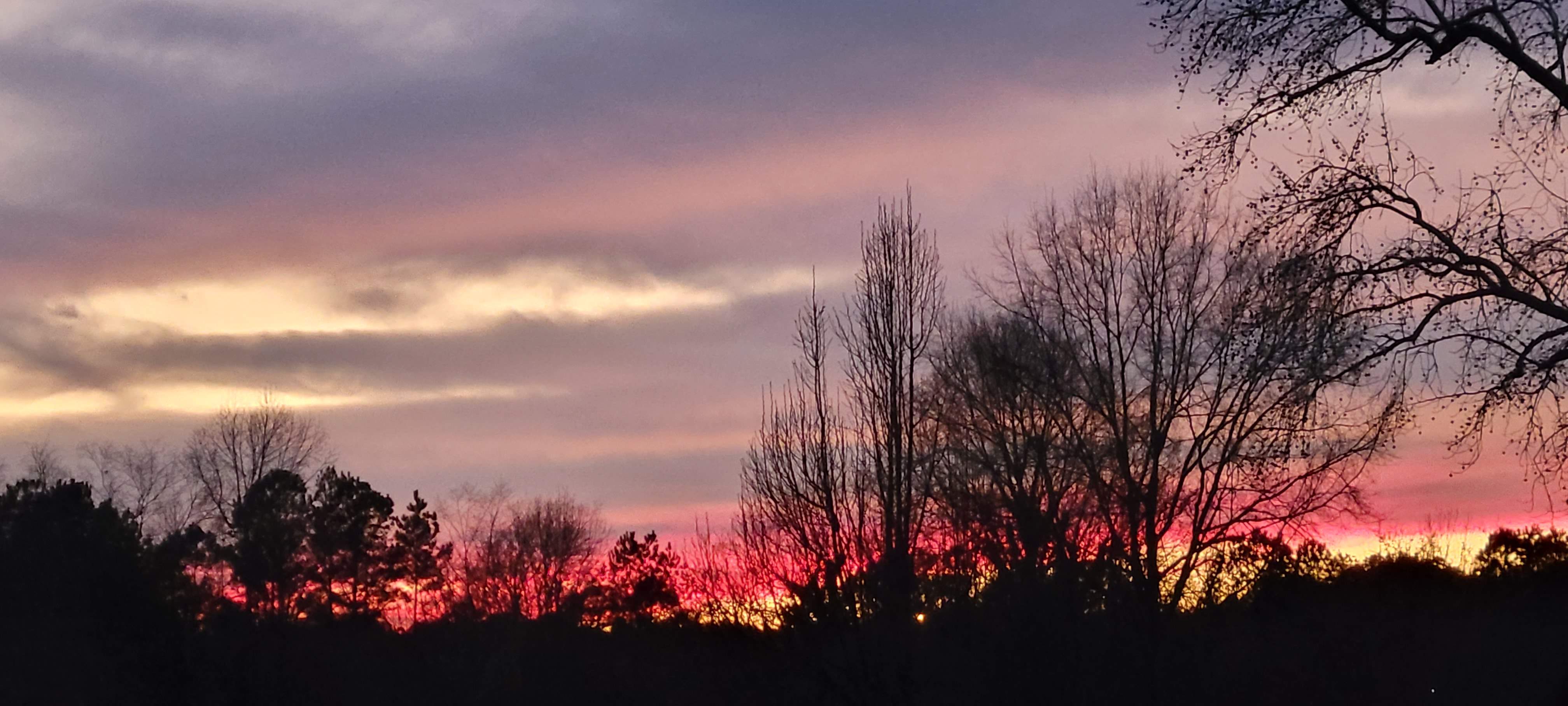 20220208_180516.jpg