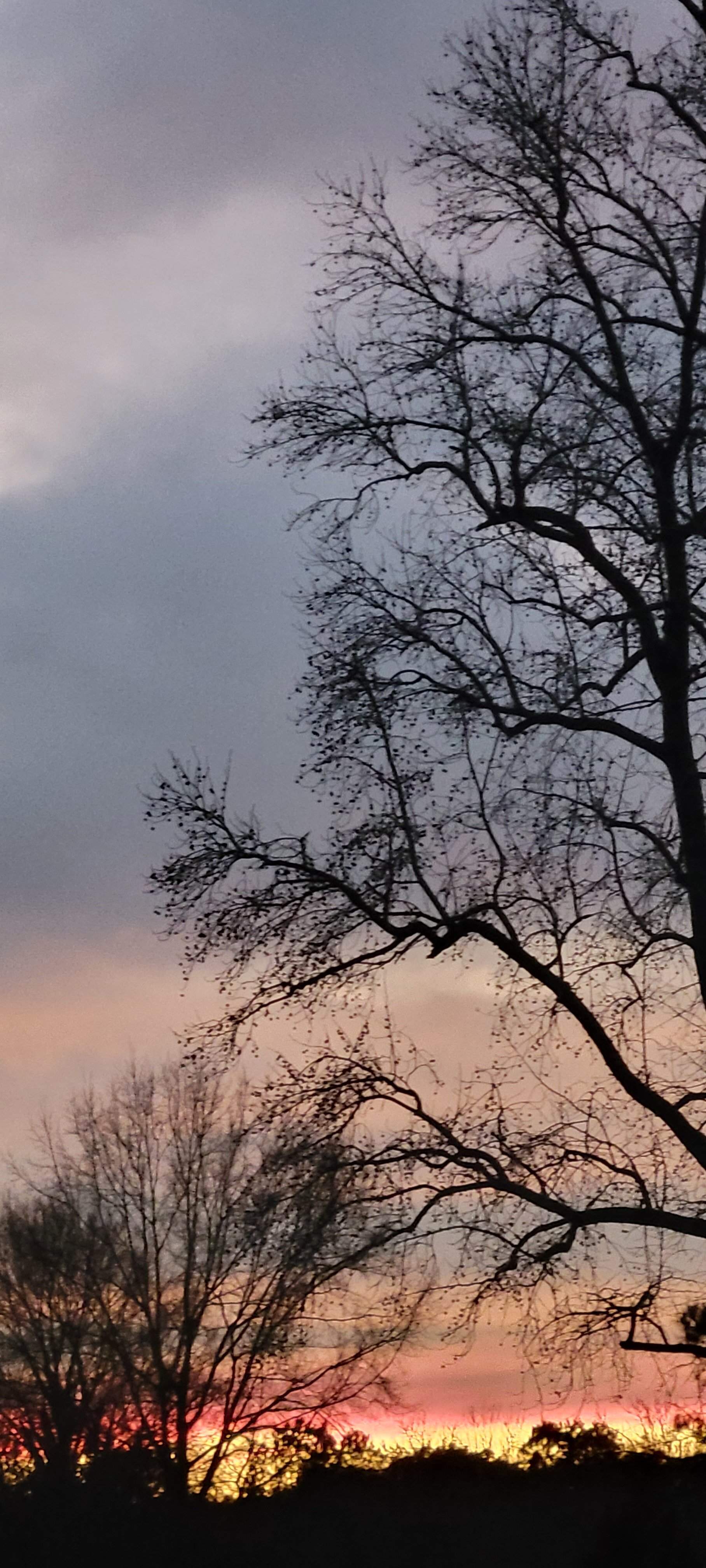 20220208_180534.jpg